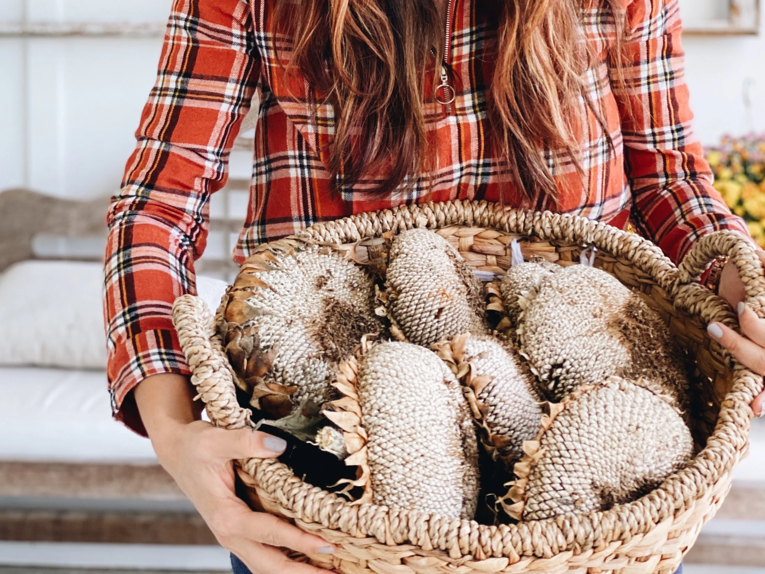 Homemade Roasted Sunflower Butter