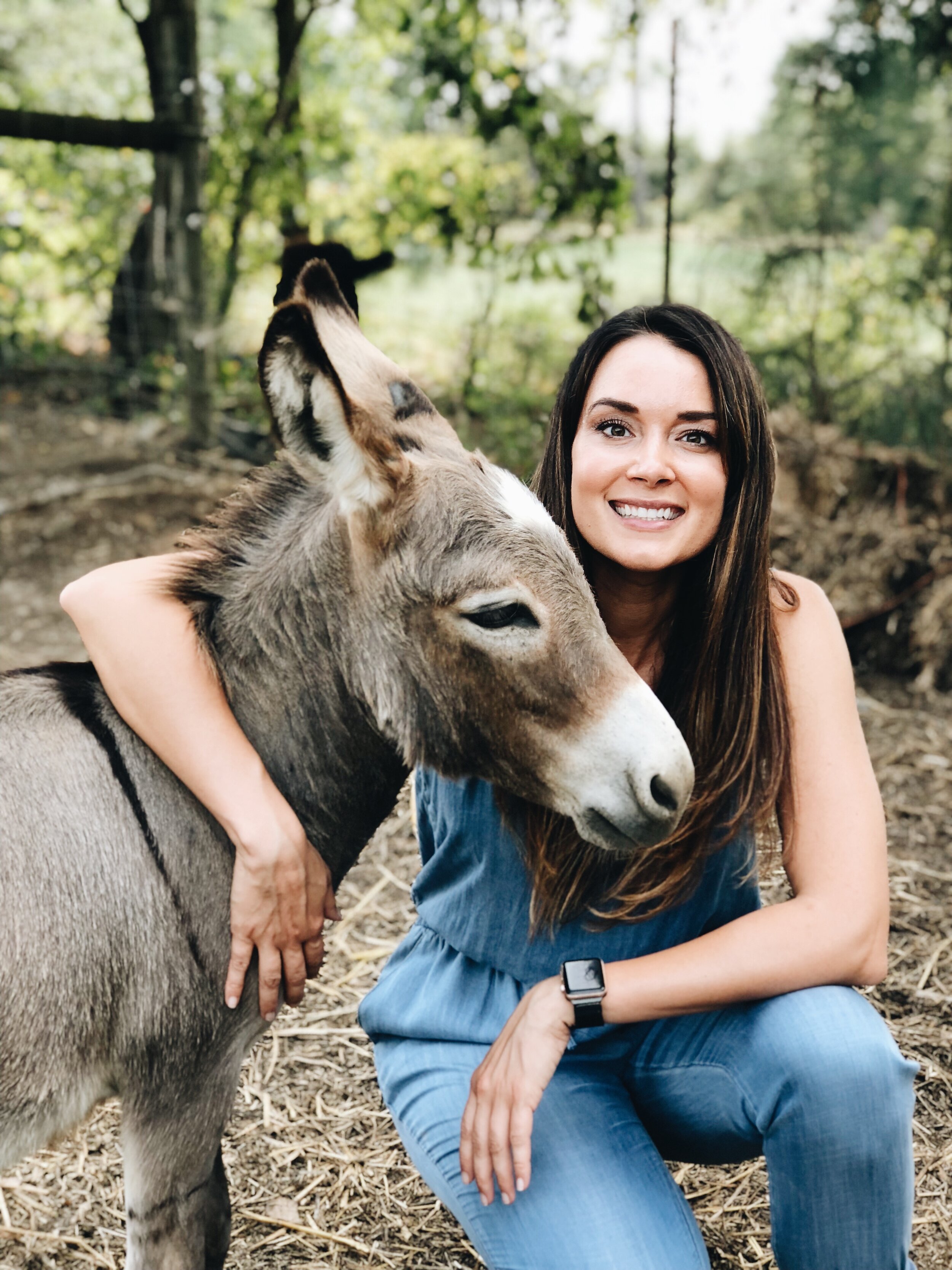 Is It Possible To Have A Pet Donkey? All Your Questions Answered – TRPD