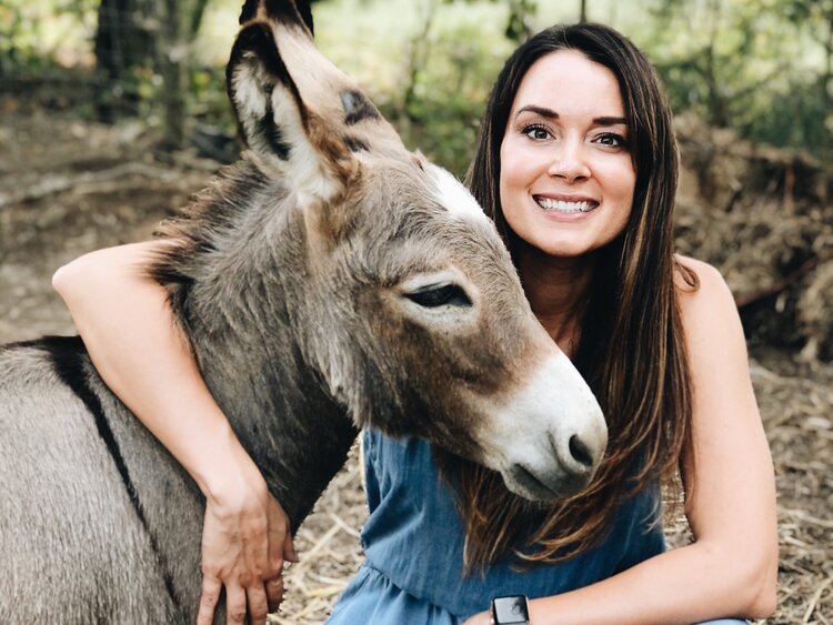 750px x 563px - A beginners guide to caring for donkeys - all you need to know - Azure Farm