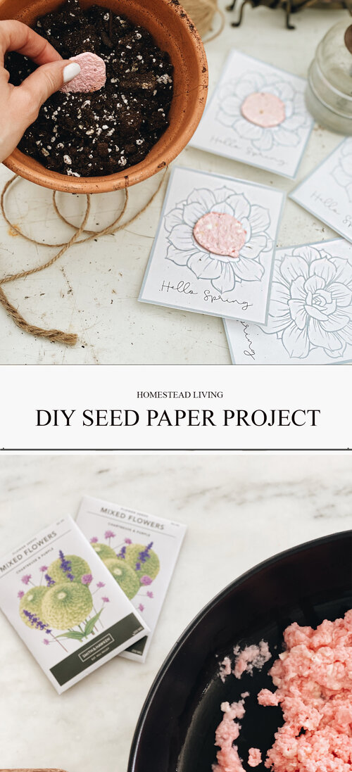 Make seed paper 