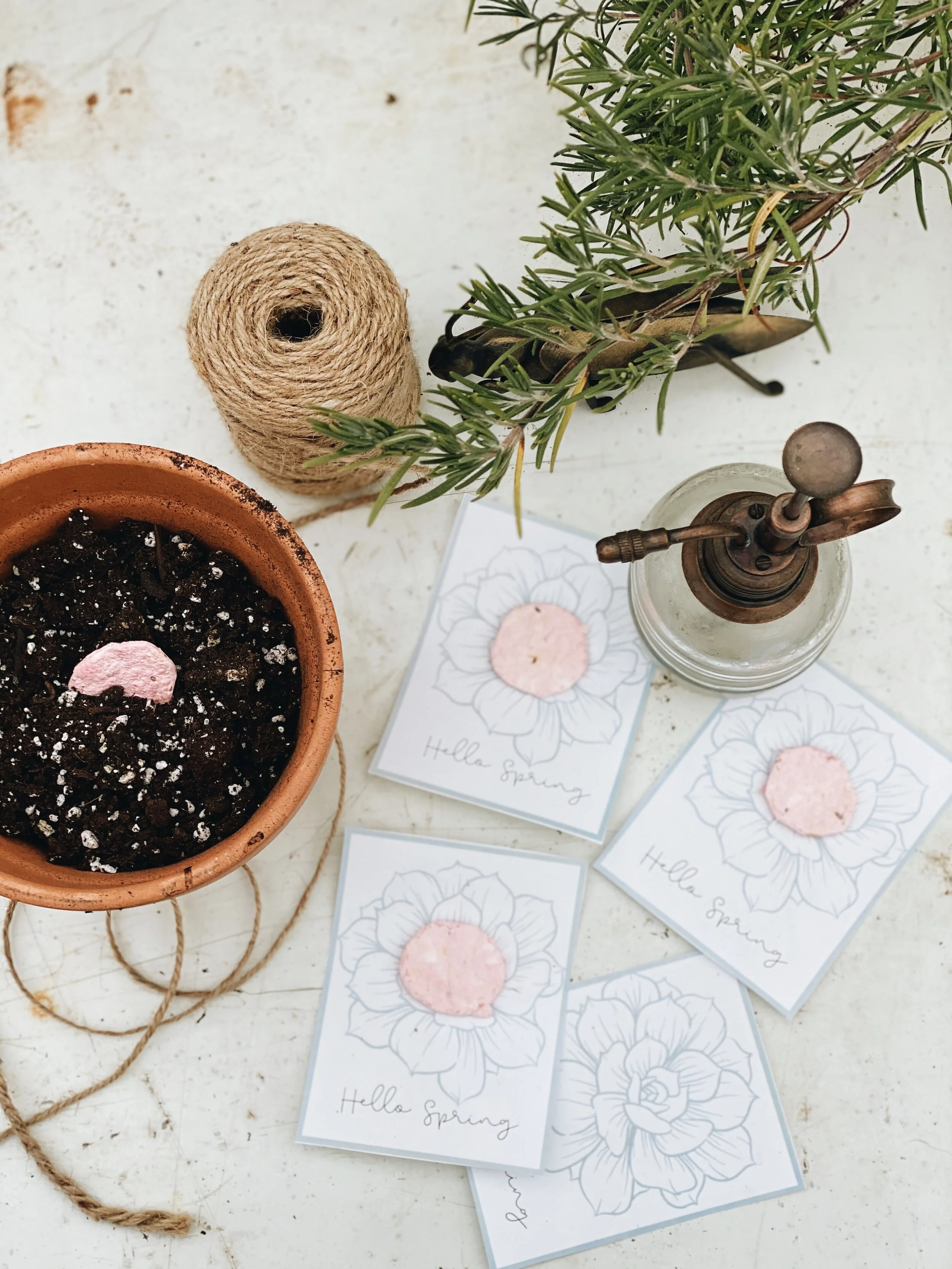 DIY seed paper project 