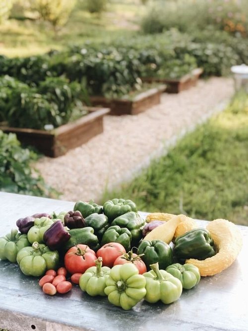 Gardening Resources Azure Farm