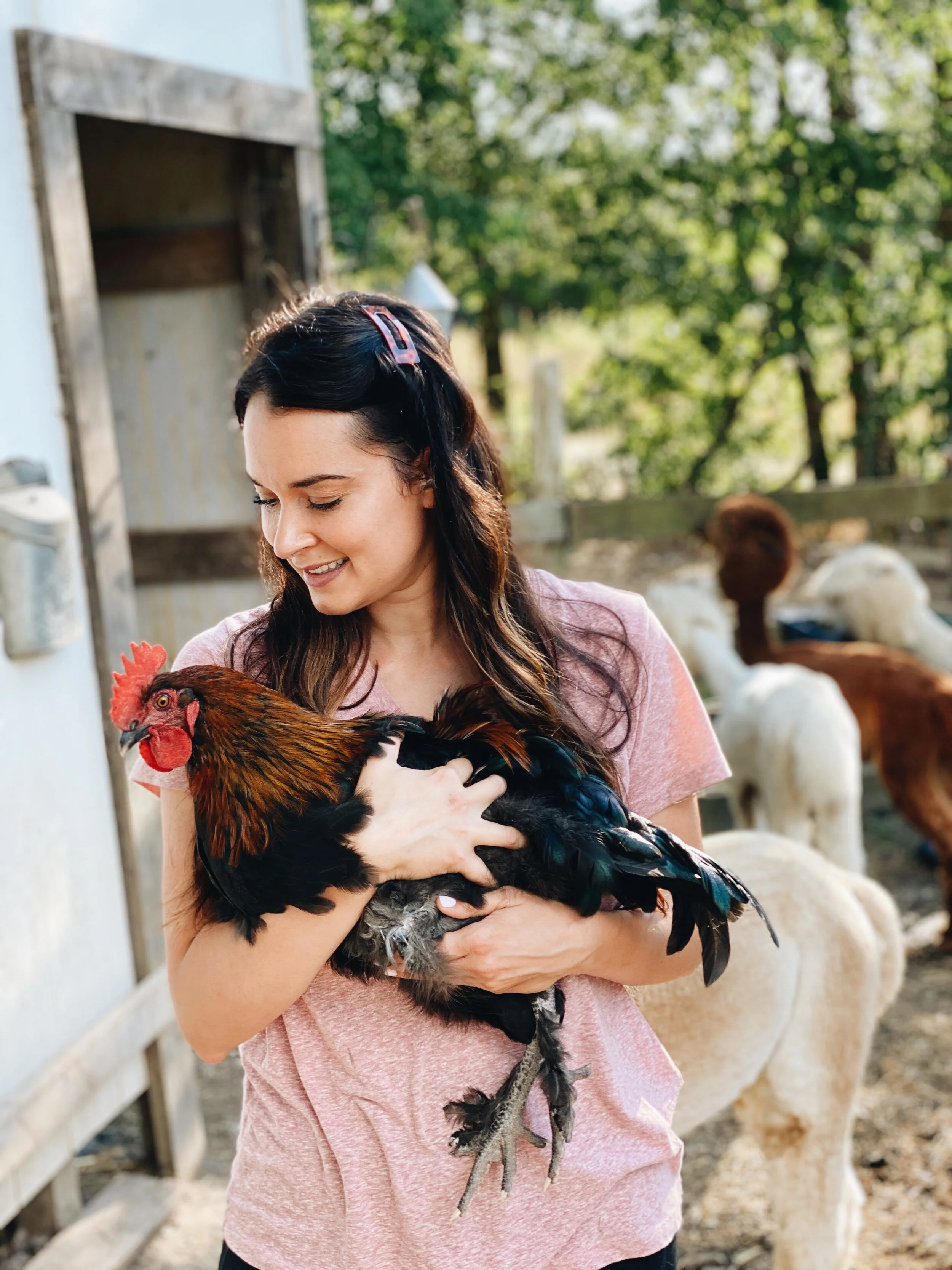 Which Animal is right for your Farm?