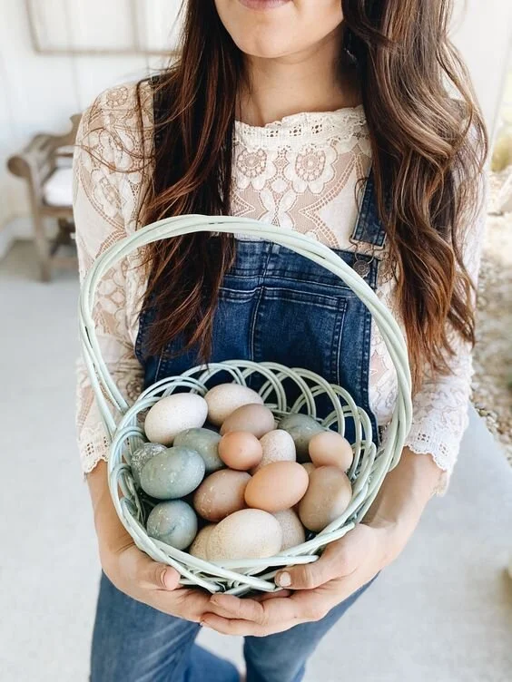 How to sell your Chicken Eggs