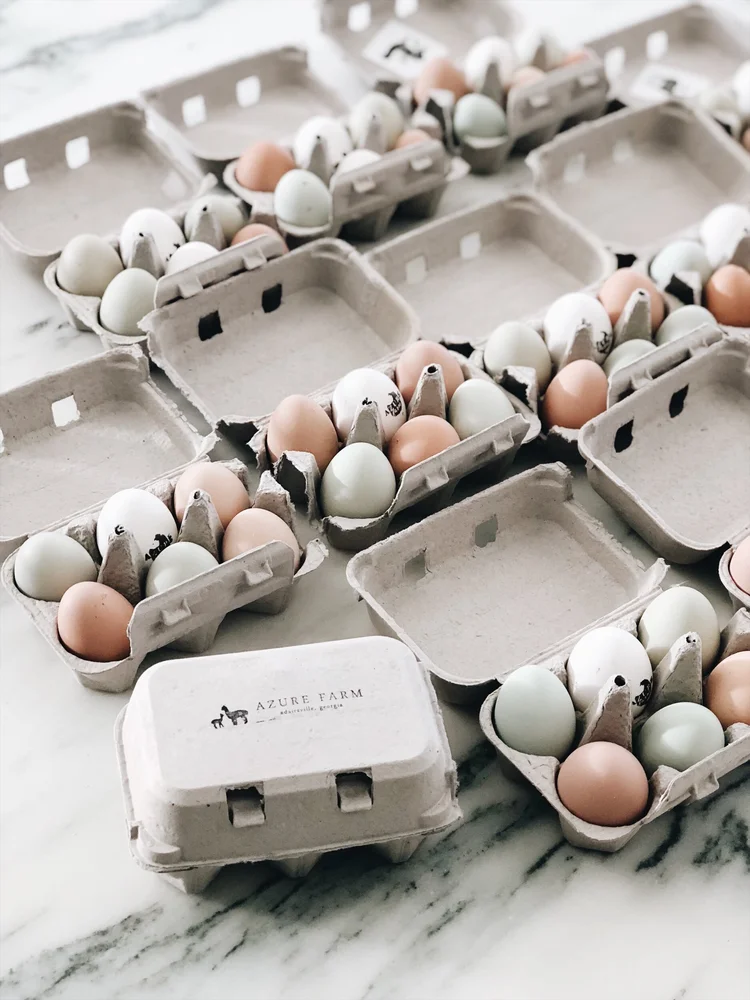 How to sell your Chicken Eggs