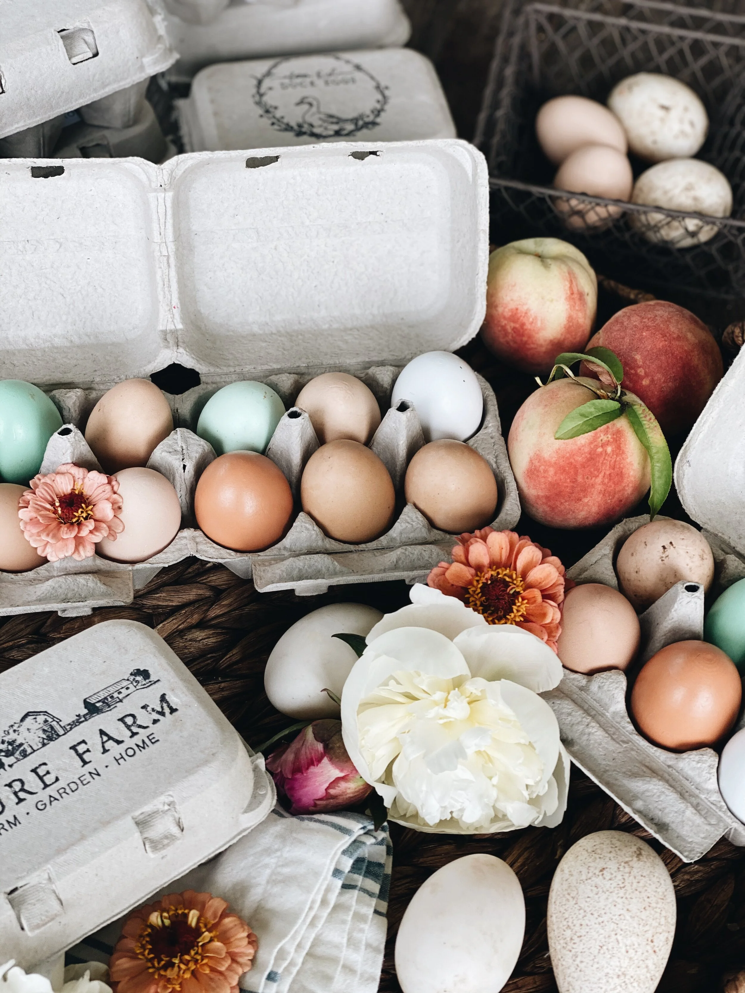 How to sell your Chicken Eggs 