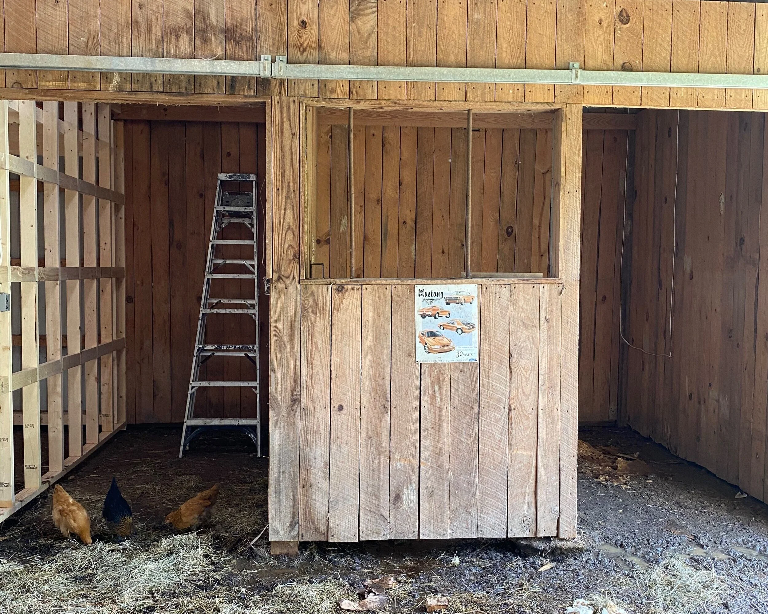 Barn Remodel part 1