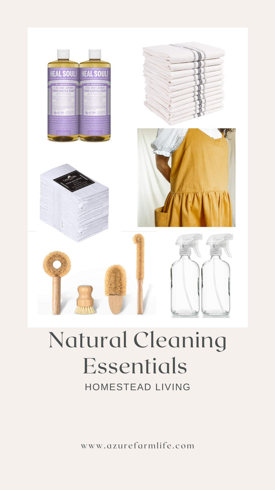DIY Natural Cleaning Solutions - PPM Apartments, Chicago