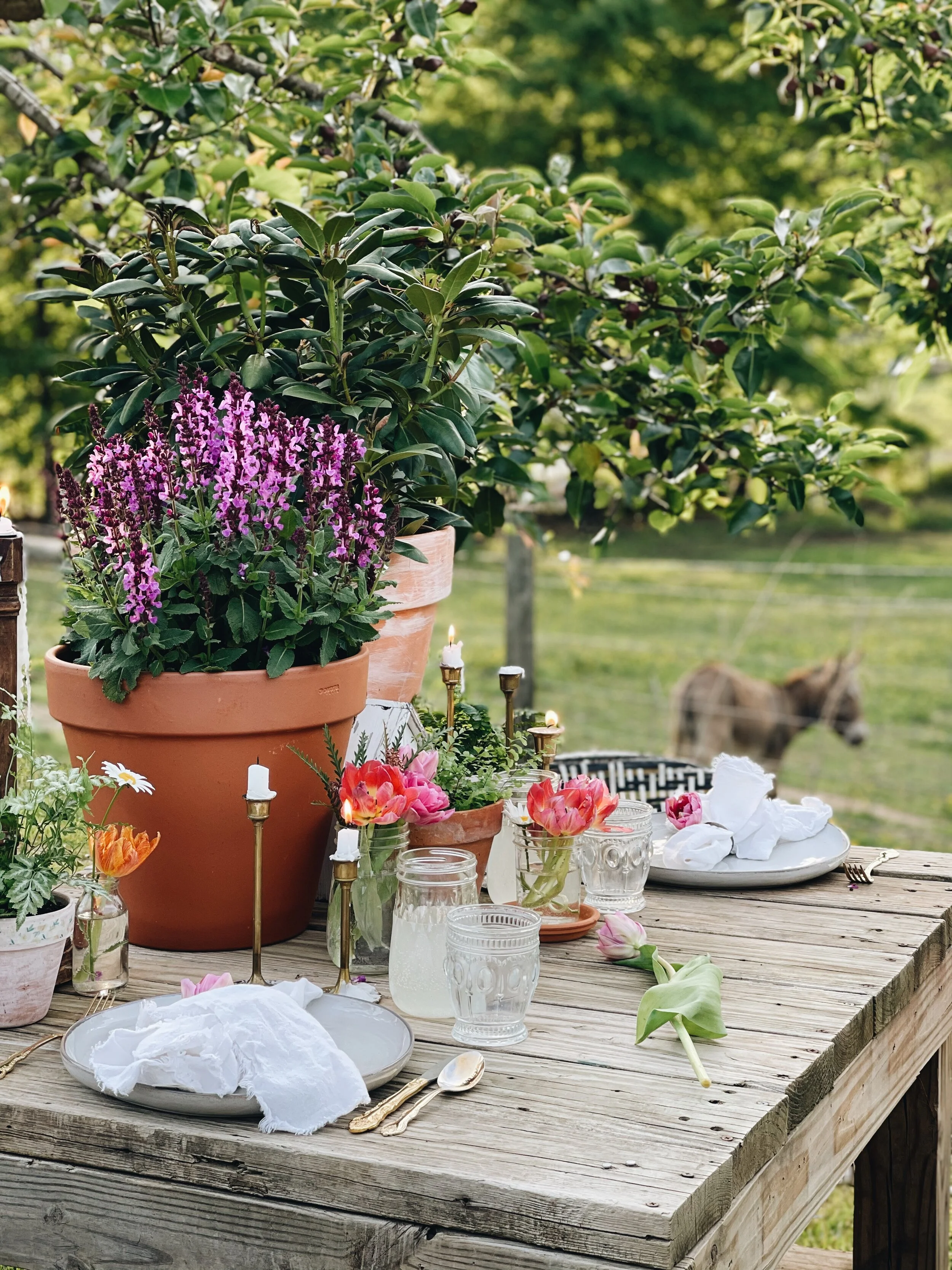 Azure Farm Outdor Spring Table.jpg