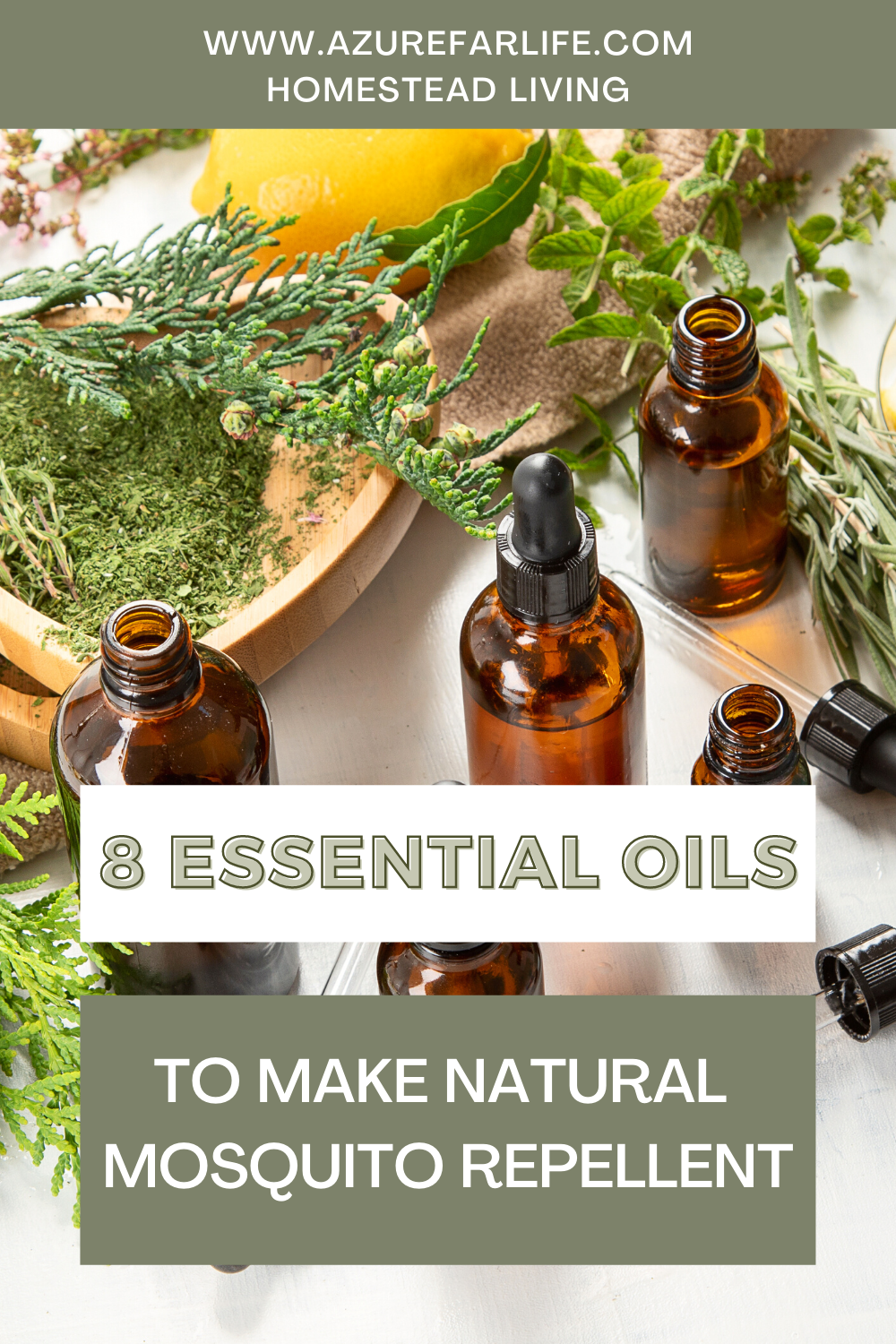 Why essential oils on the homestead can save you big $$