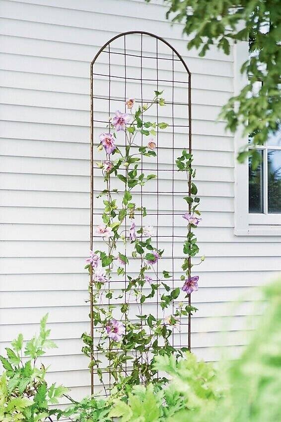 https://www.gardeners.com/buy/metal-trellis-for-clematis-and-vines/38-689.html