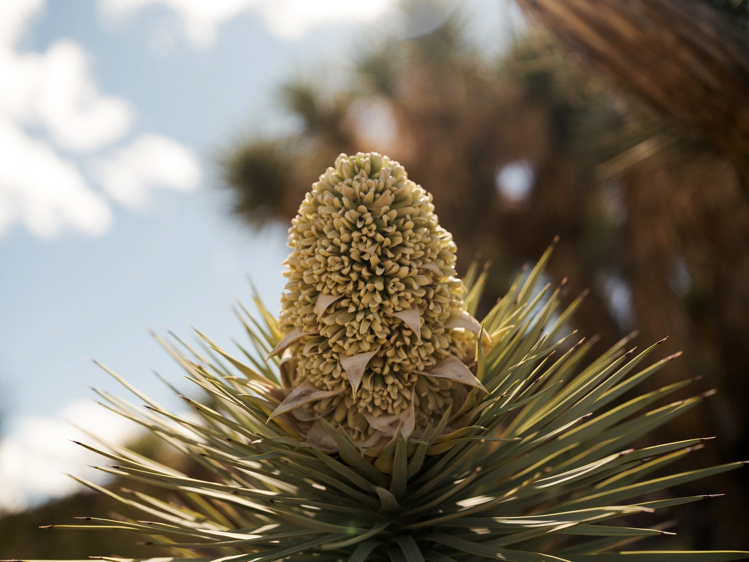 Santerra_Photography-57.jpg