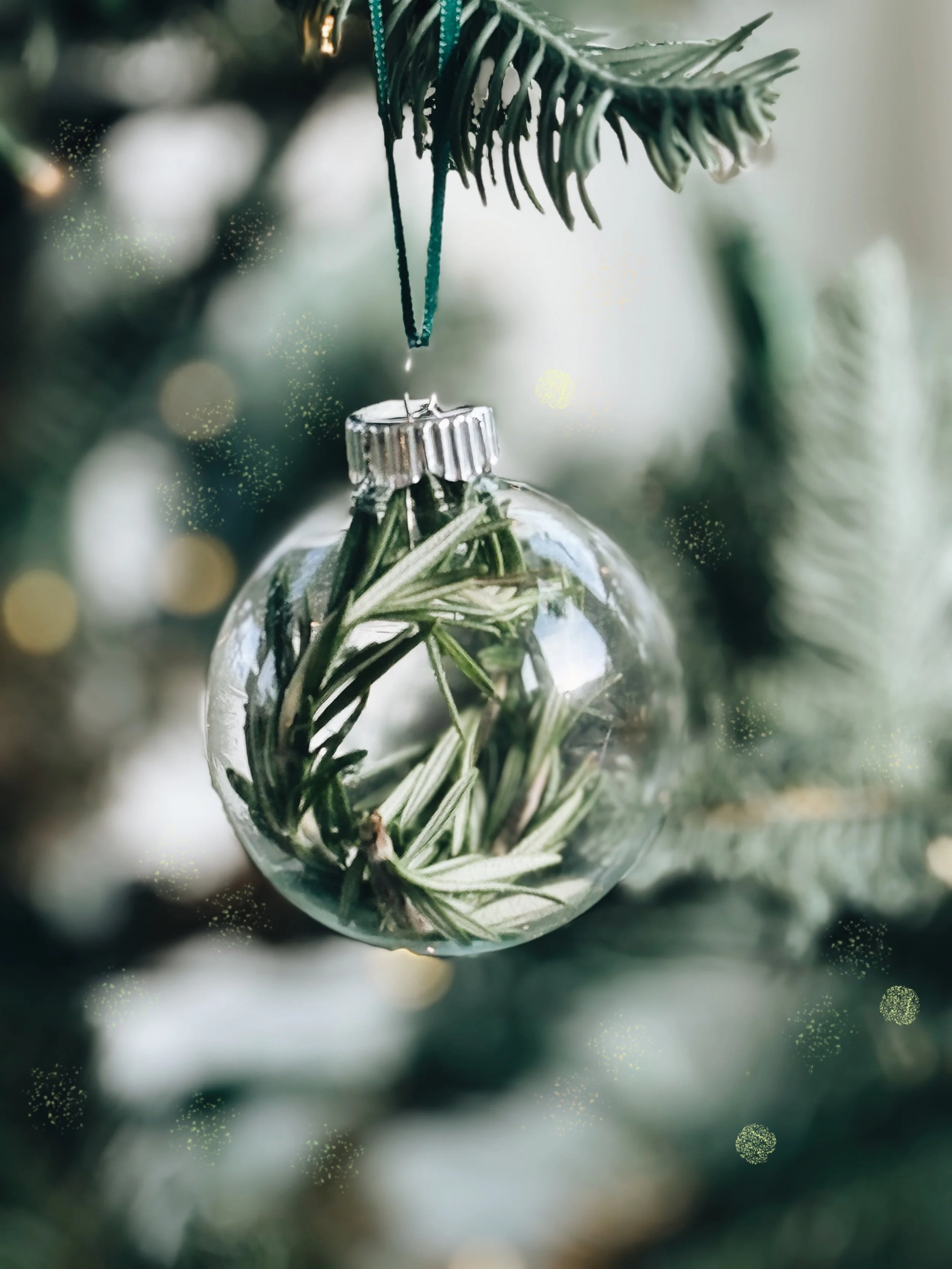 Make Your Own Nature-Inspired Christmas Tree Ornaments