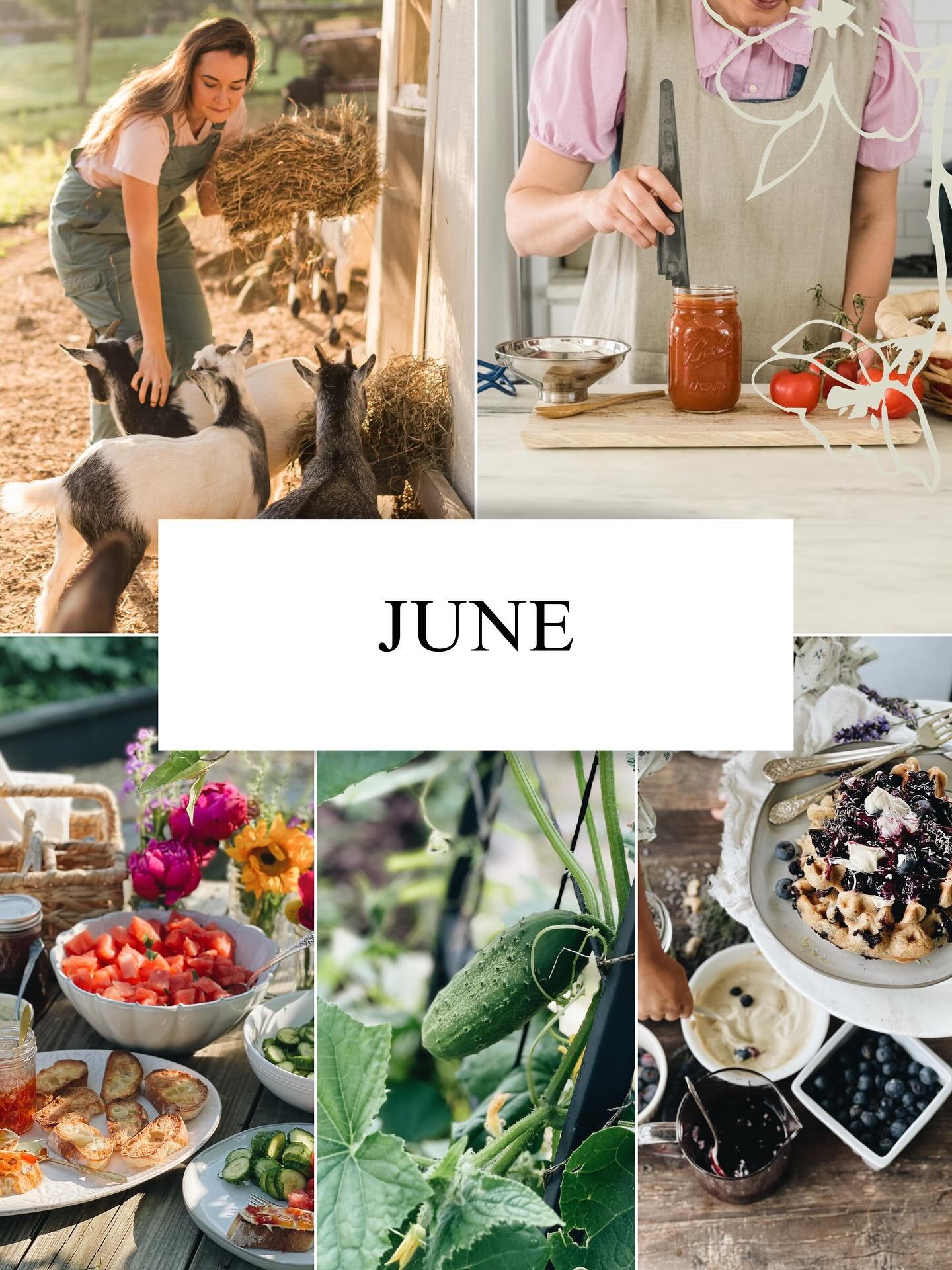 JUNE ON THE HOMESTEAD 🌿🍅🐐
This month is full of seasonal goodness&mdash;and I&rsquo;m sharing it all with you! From what to eat, grow, and preserve, to taking care of your home, garden, and family. 

Here&rsquo;s what I have for you 
&ndash; June&