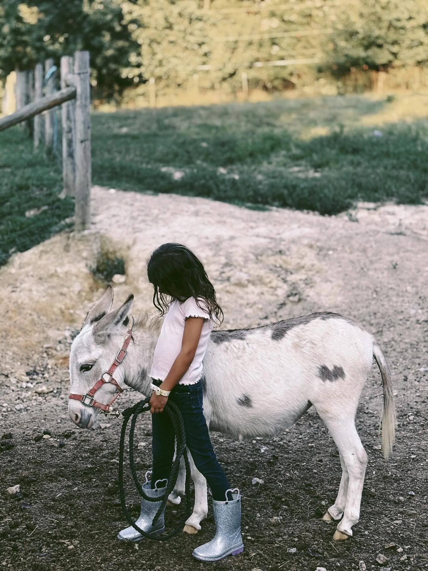 So much to share right now, BIG things we have been dreaming up. It's been too busy for me to do much here on IG. I encourage you to pursue the thing you feel you are called to do friend. I promise to share more very soon! 

The farm is good, the ani