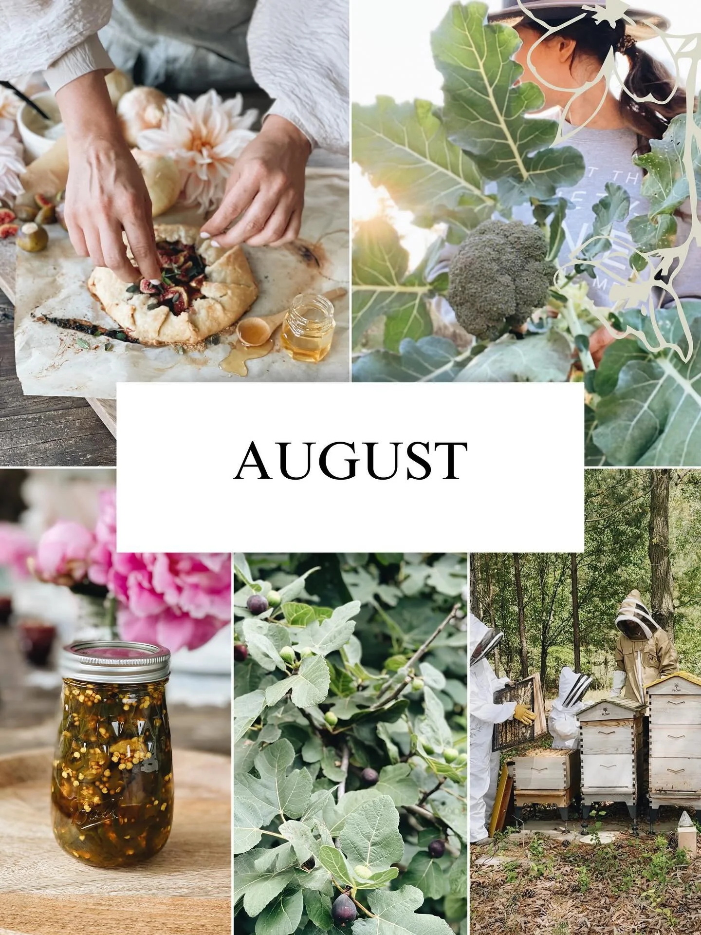 It's time for your monthly seasonal checklist! Scroll through to see what we are focusing on this month! 

Comment &quot;August&quot; and I'll send you links to learn more. 

🐝🥦😍