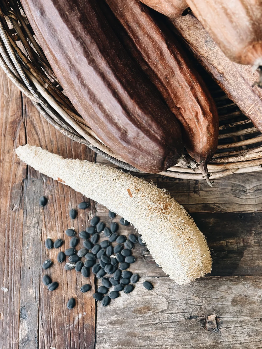 FullSizeRender_VSCO copy 3.JPG