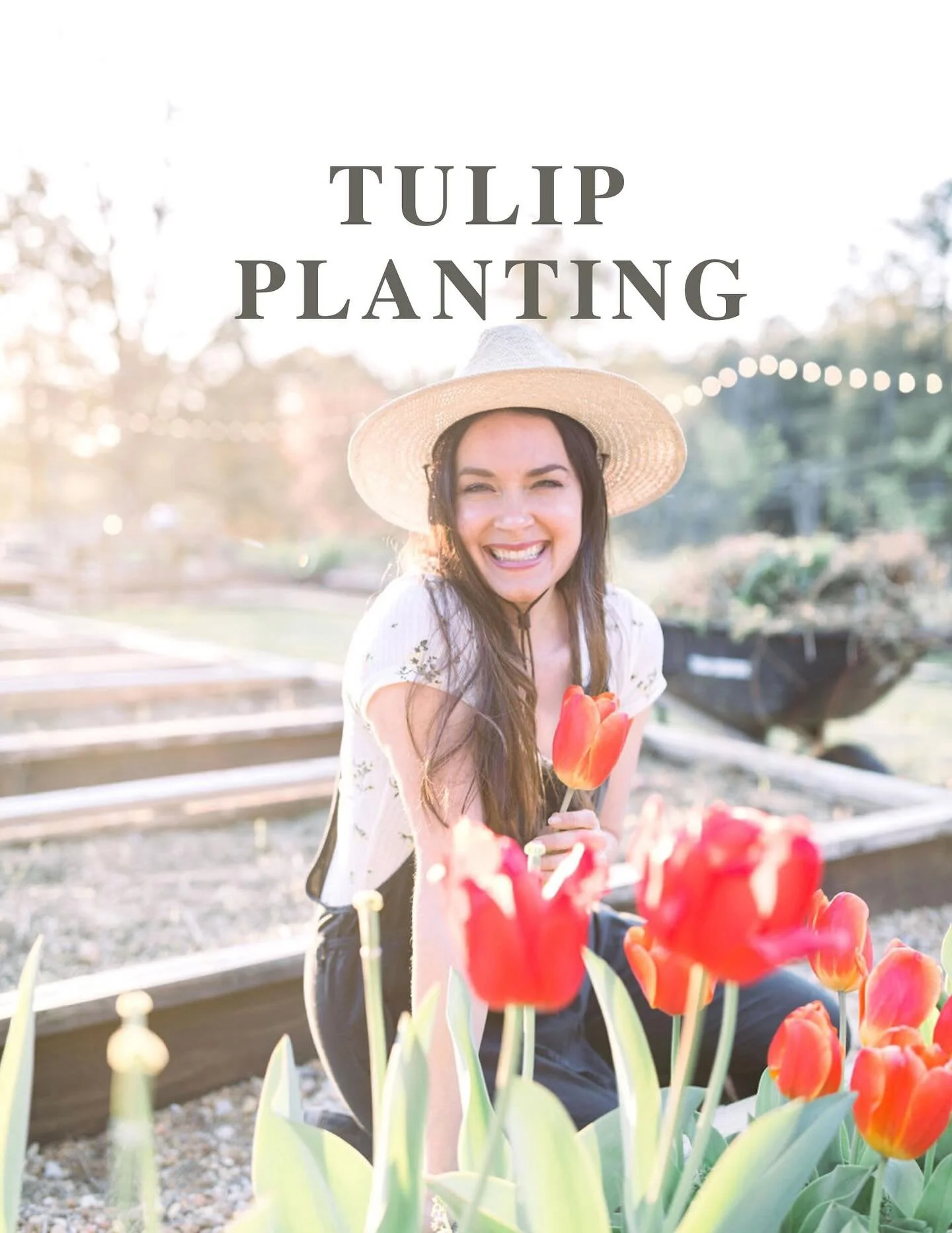 It's the time of year to tuck tulip bulbs and other flower bulbs into the ground. Here's an easy guide on how to do it! 

Save it for when you plant, and remember to get these in the ground before your first frost 🌷❄️