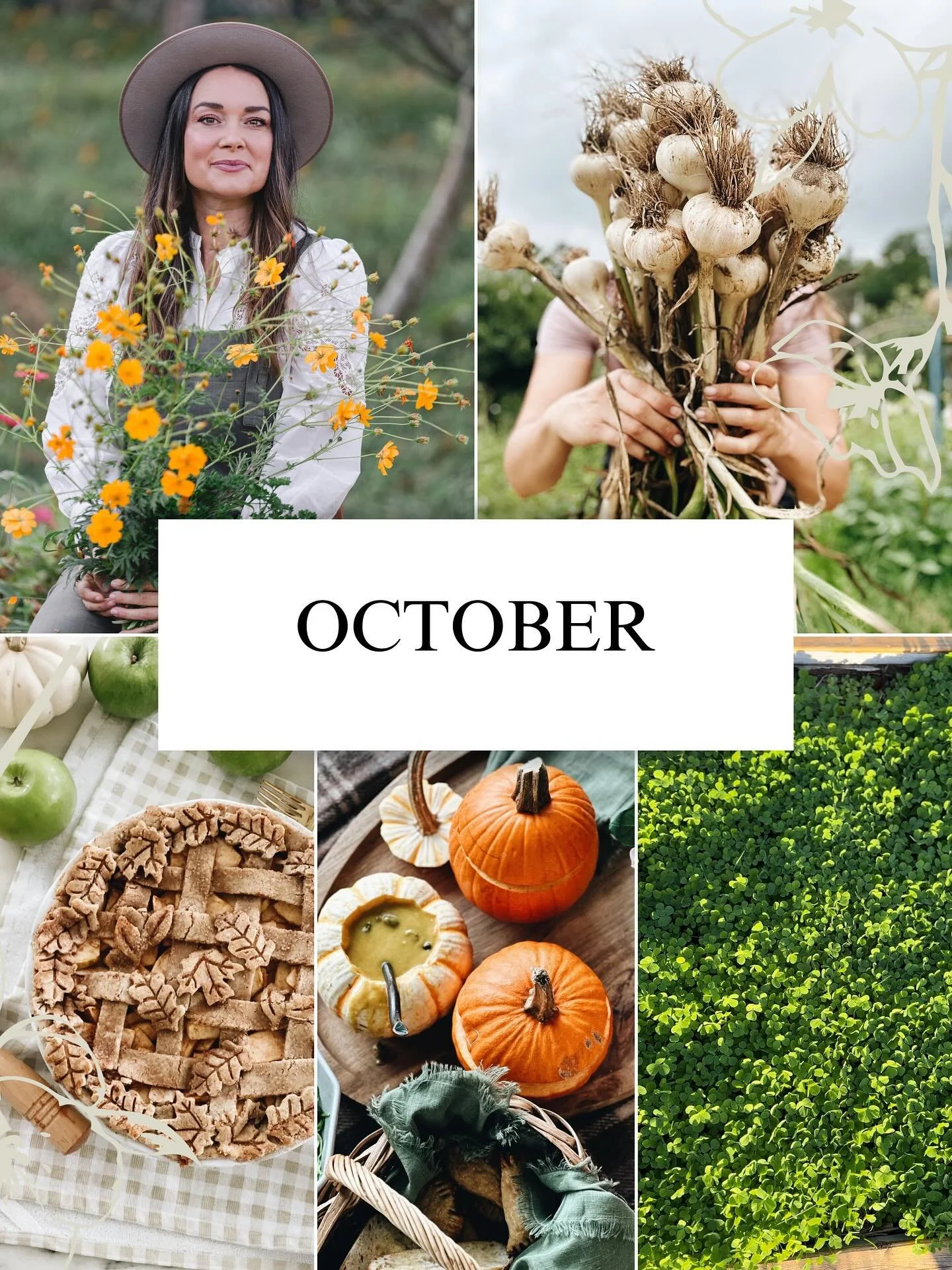 Sharing some things to guide you along the rest of your October! Comment &quot;October&quot; and I'll send them to you! 

This is my monthly check in with you! I share real things I am doing and hope to Sonora you to do the same. Newsletter goes out 
