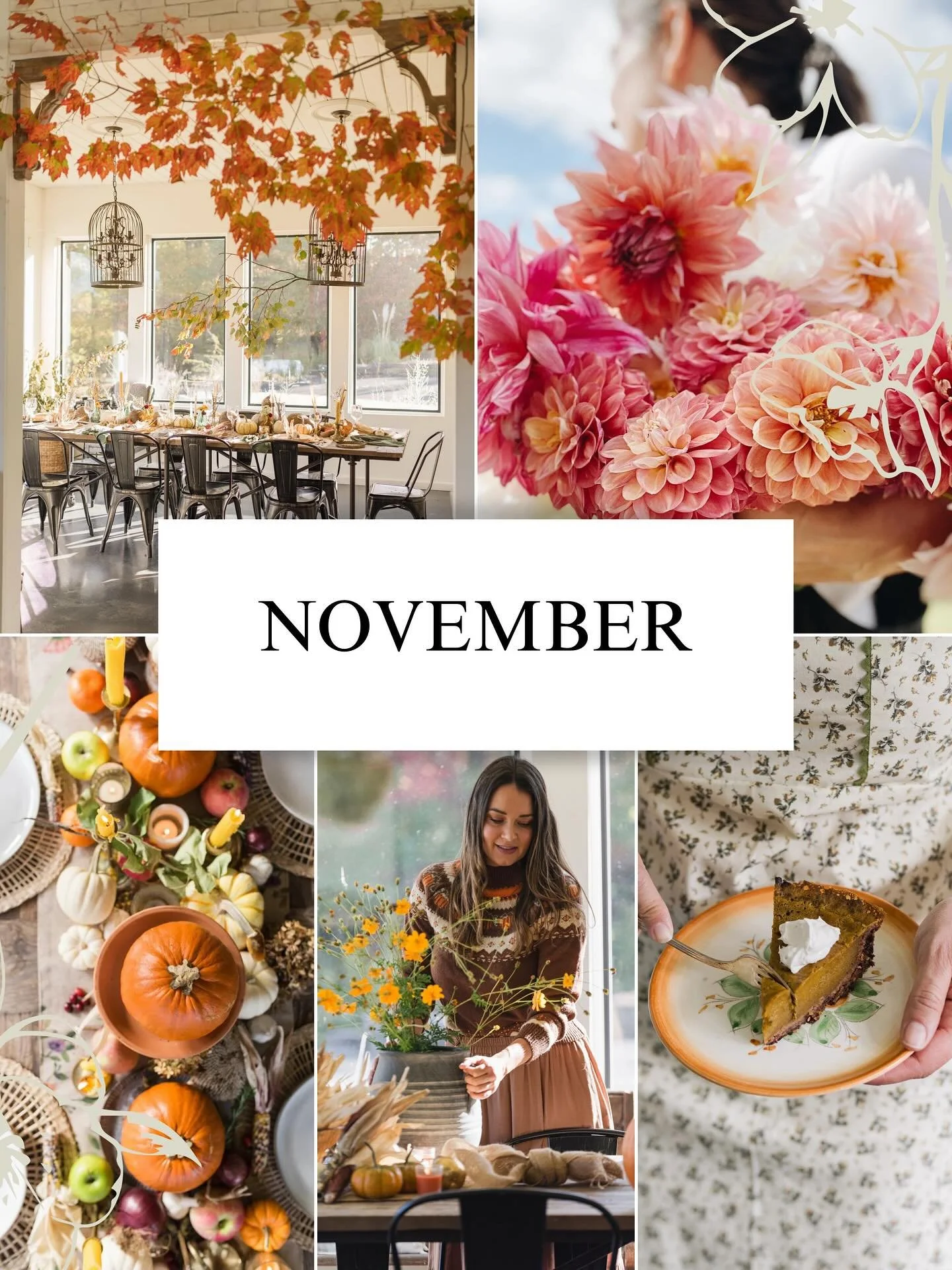 My favorite November rhythms 🍂

Bake the pie.
Plant the trees.
Tend the coop.
Savor the season.

Comment &ldquo;November&rdquo; and I&rsquo;ll send you my full monthly guide! It's filled with seasonal foods, homestead checklists, and all the informa