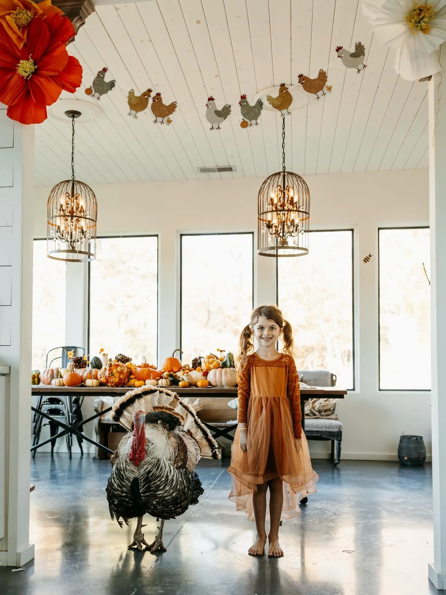 6 years of Tom and Ava! Here is this years picture! 🦃🍂 they both look so proud ❤️ love doing this every year.

I hope you have lots to be thankful for this year! Let me know what you are most grateful for below 👇🏻