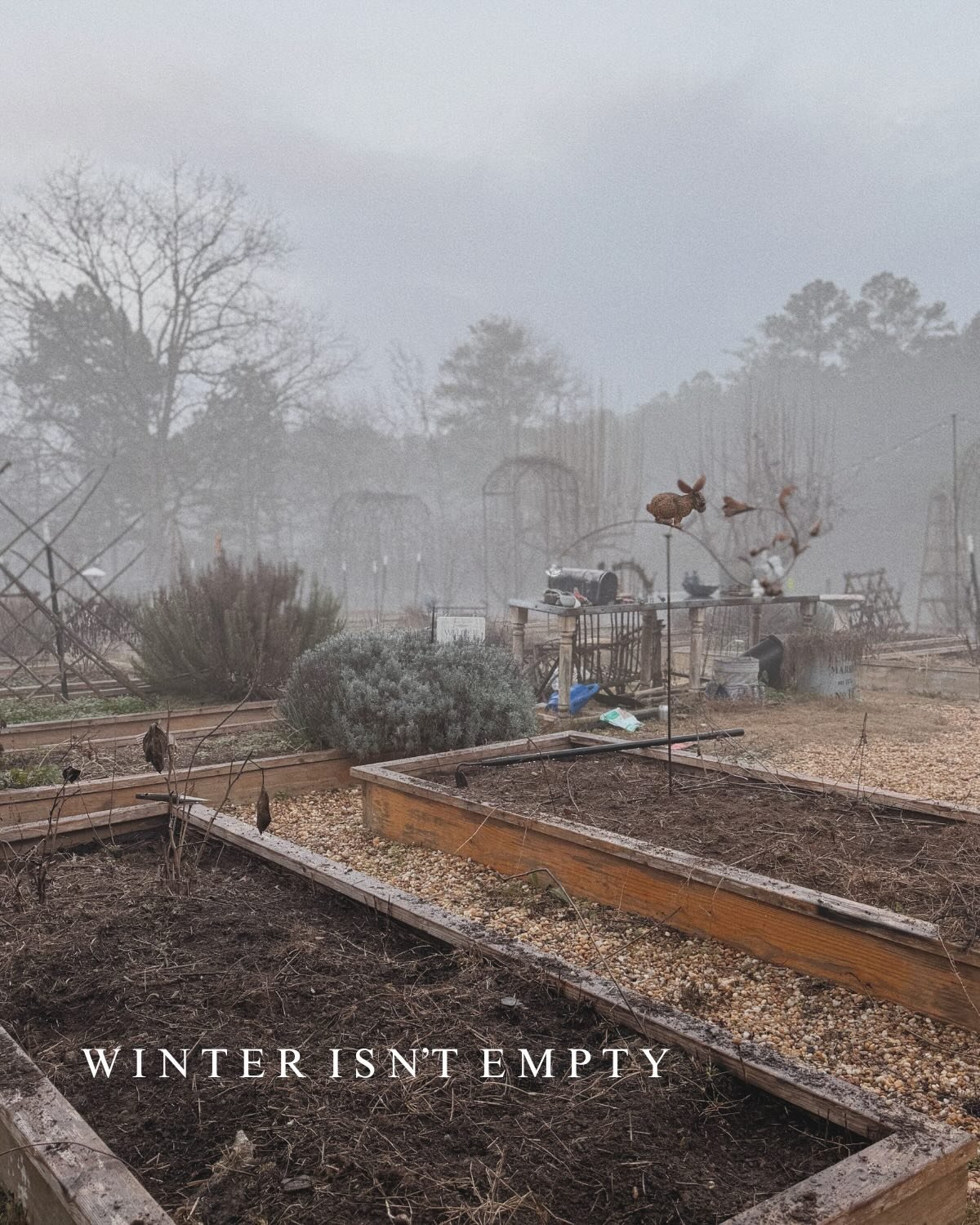 January asks for restraint.
What looks like stillness in the garden 
is often preparation happening beneath the surface.

I wrote more about this rhythm in tomorrow&rsquo;s letter.