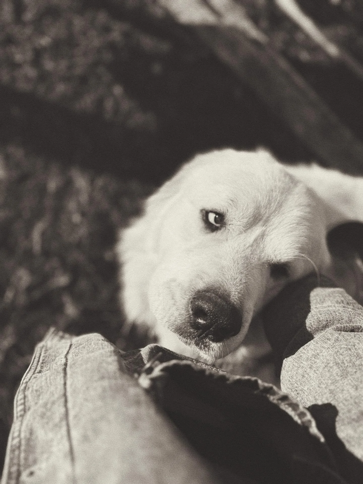 The days here aren&rsquo;t remarkable on their own.
But together, they form a way of living
shaped by attention, care, and repetition.

This is what I return to.