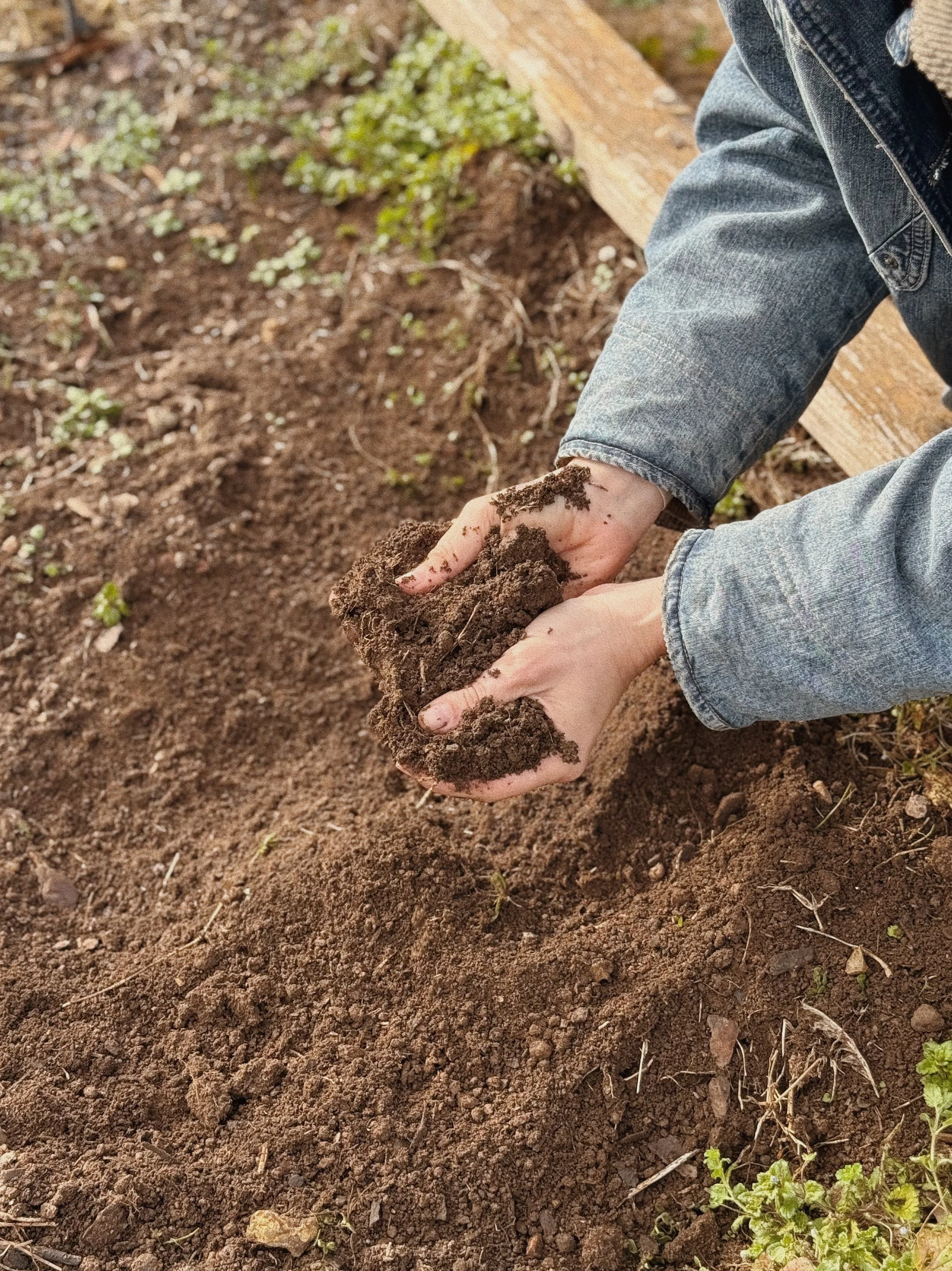 FullSizeRender_VSCO 18.JPG