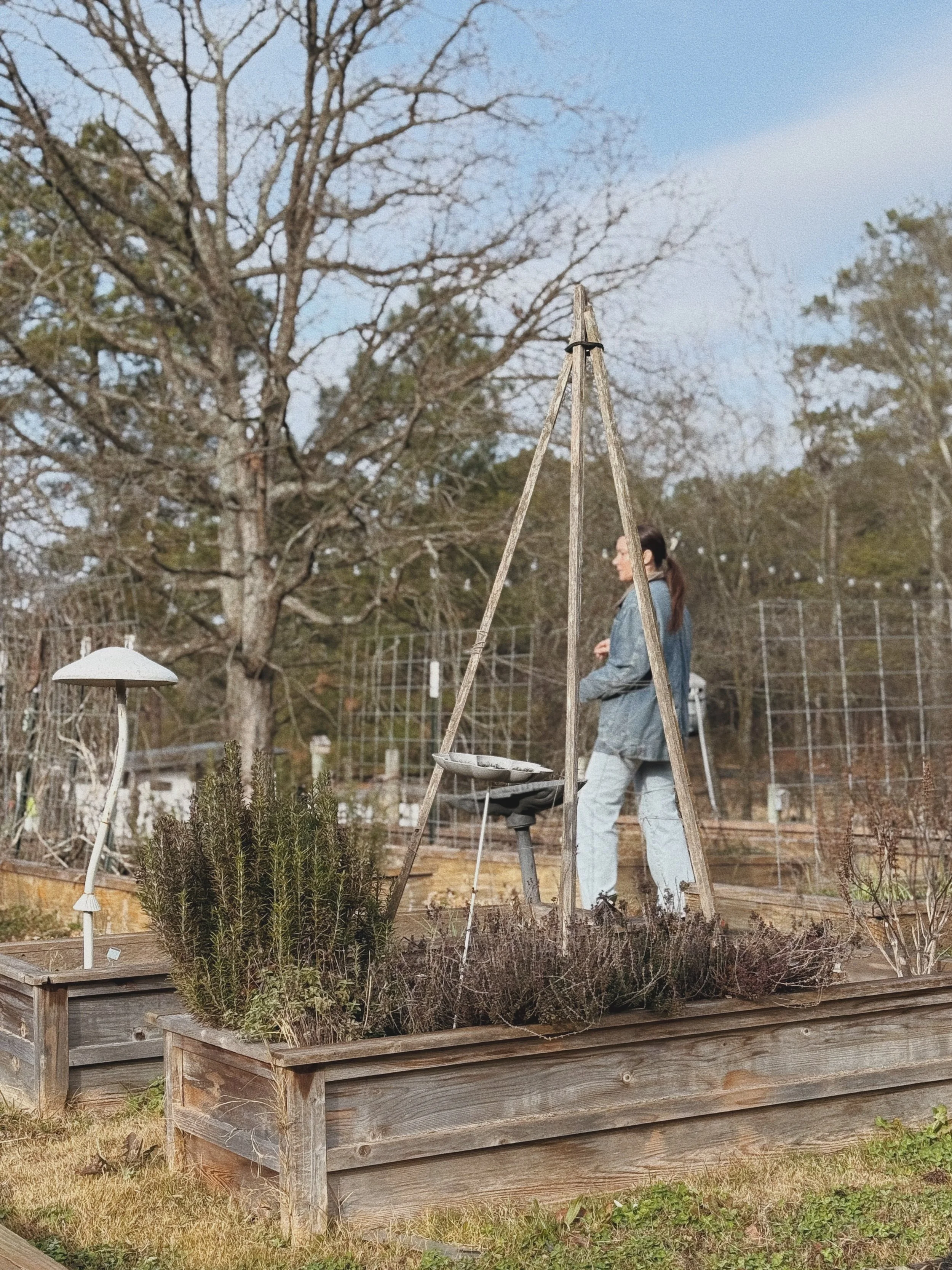 FullSizeRender_VSCO 17.JPG