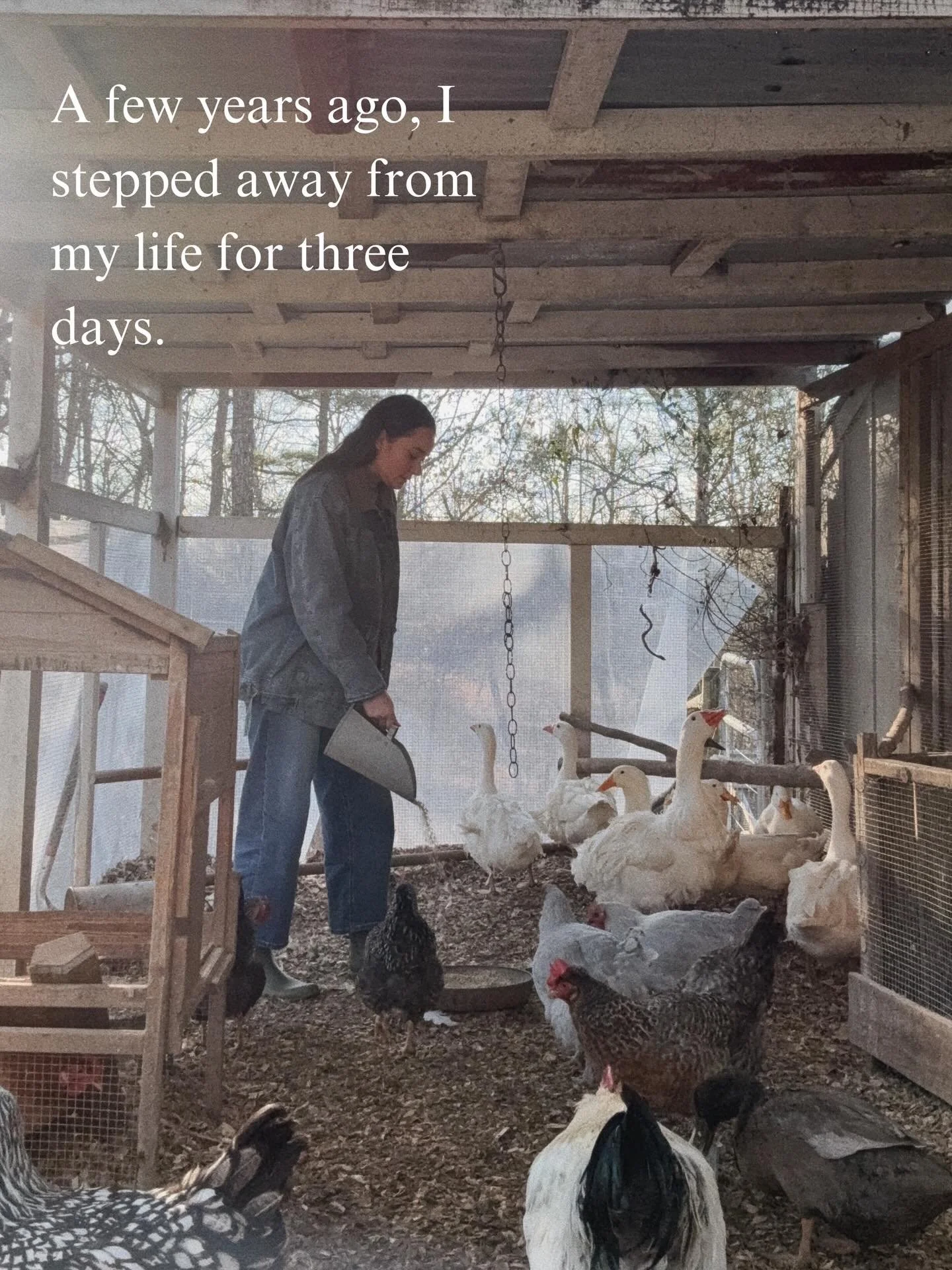 A few years ago, I took three days away from my life, 
and returned more present inside it.

This retreat didn&rsquo;t give me answers. It gave me awareness.
And that changed everything that followed.

I now volunteer with Life App because I believe 