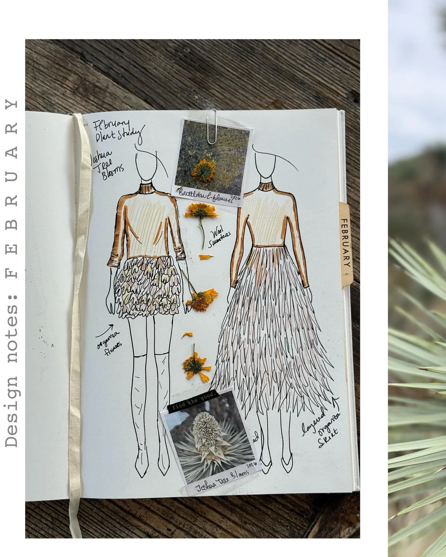 Each month I try to sit down and let nature inspire something.
This sketch was shaped by the Joshua Tree blooms and the little bursts of brittlebush across the desert. The blooms themselves feel like a sculpture, strong and delicate at the same time.