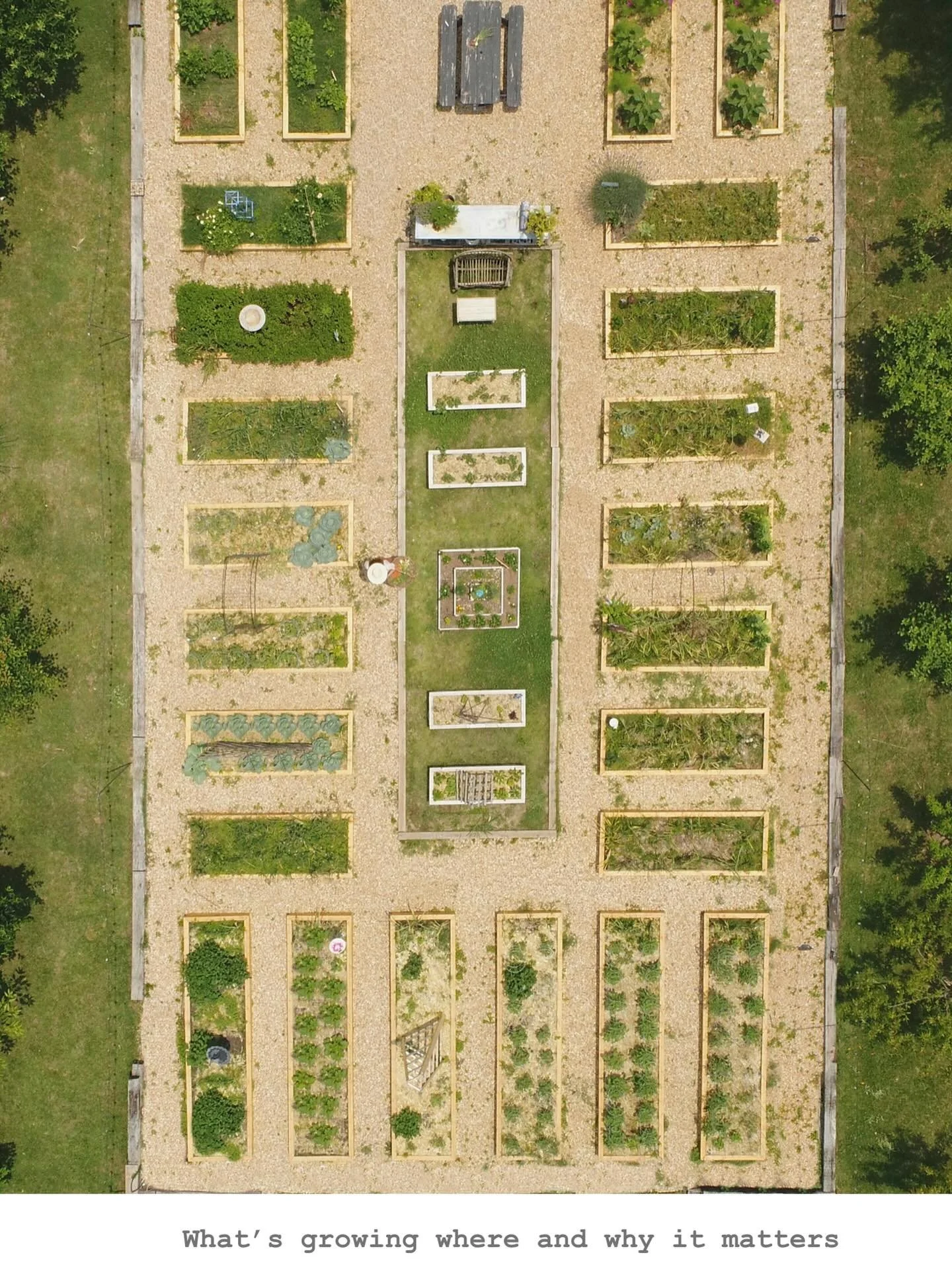 Every season, I print an aerial view of our garden and map out what&rsquo;s growing, what&rsquo;s been planted, and what&rsquo;s to come.
Some beds hold perennials and established herbs. Others are filled with spring crops, some rest, or grow cover c