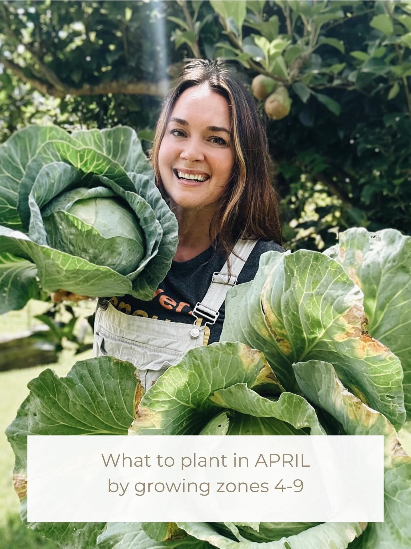 What to plant in April&hellip; depends on where you live.
The days may feel warmer but the soil tells a different story. 

Some gardens are just waking up. Others are already producing.

Zone 3 is still in that quieter season, more planning than plan