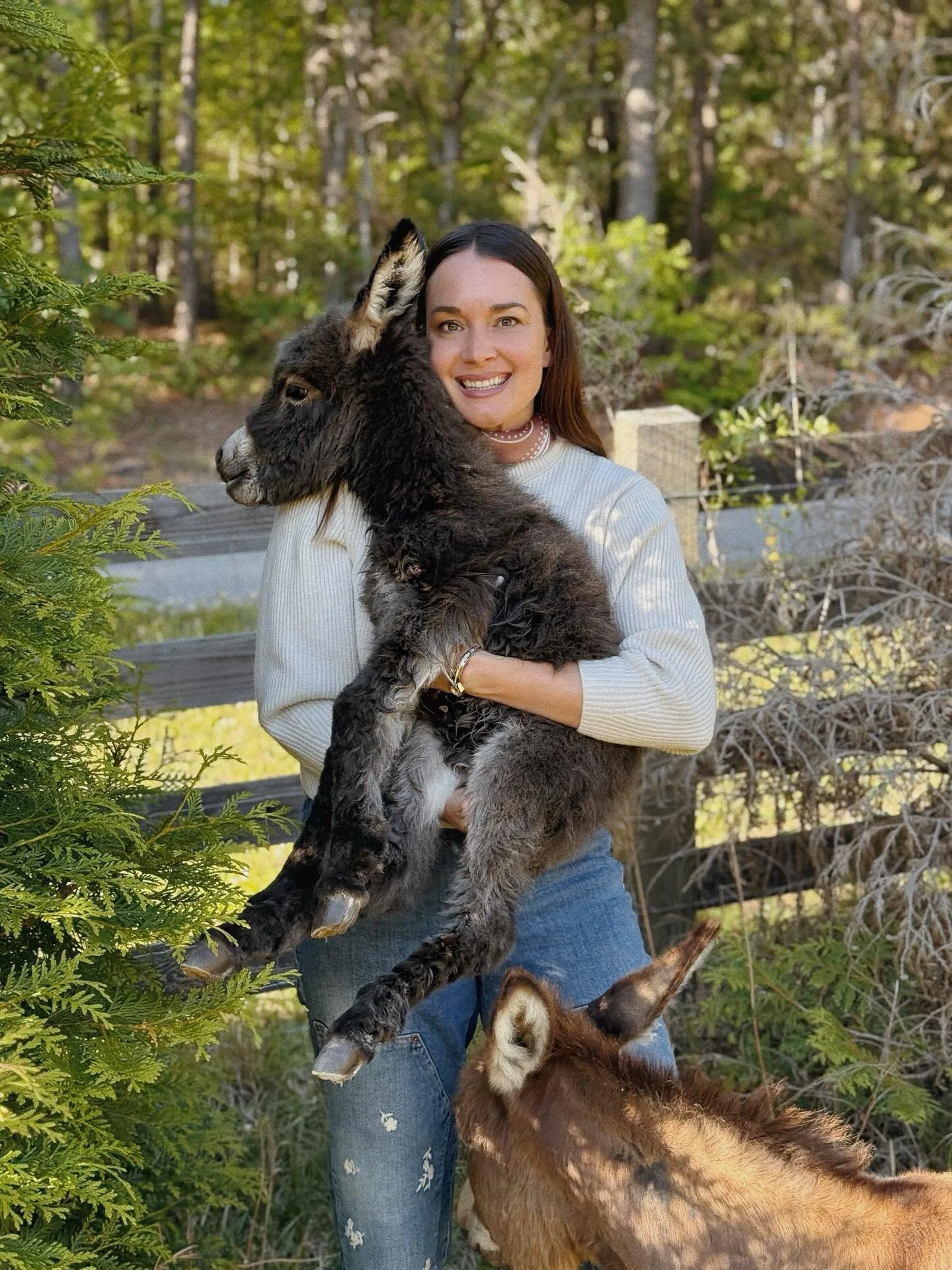 The sweetest baby donkey  you ever did see! Still open to name suggestions although Ava is leaning towards Bubbles 🫧 😆