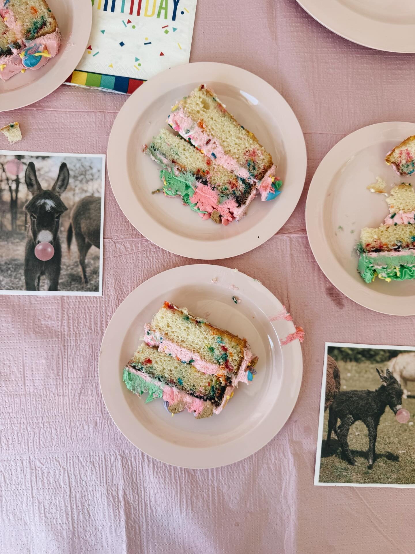 It's hard to believe our little Ava Rose is 7 today❤️

Each year she's picked her birthday party theme and this time it was Donkeys and Bubble gum 😆 

She even decorated her cake all by herself! Flowers from the garden and pictures of our donkeys 🫏