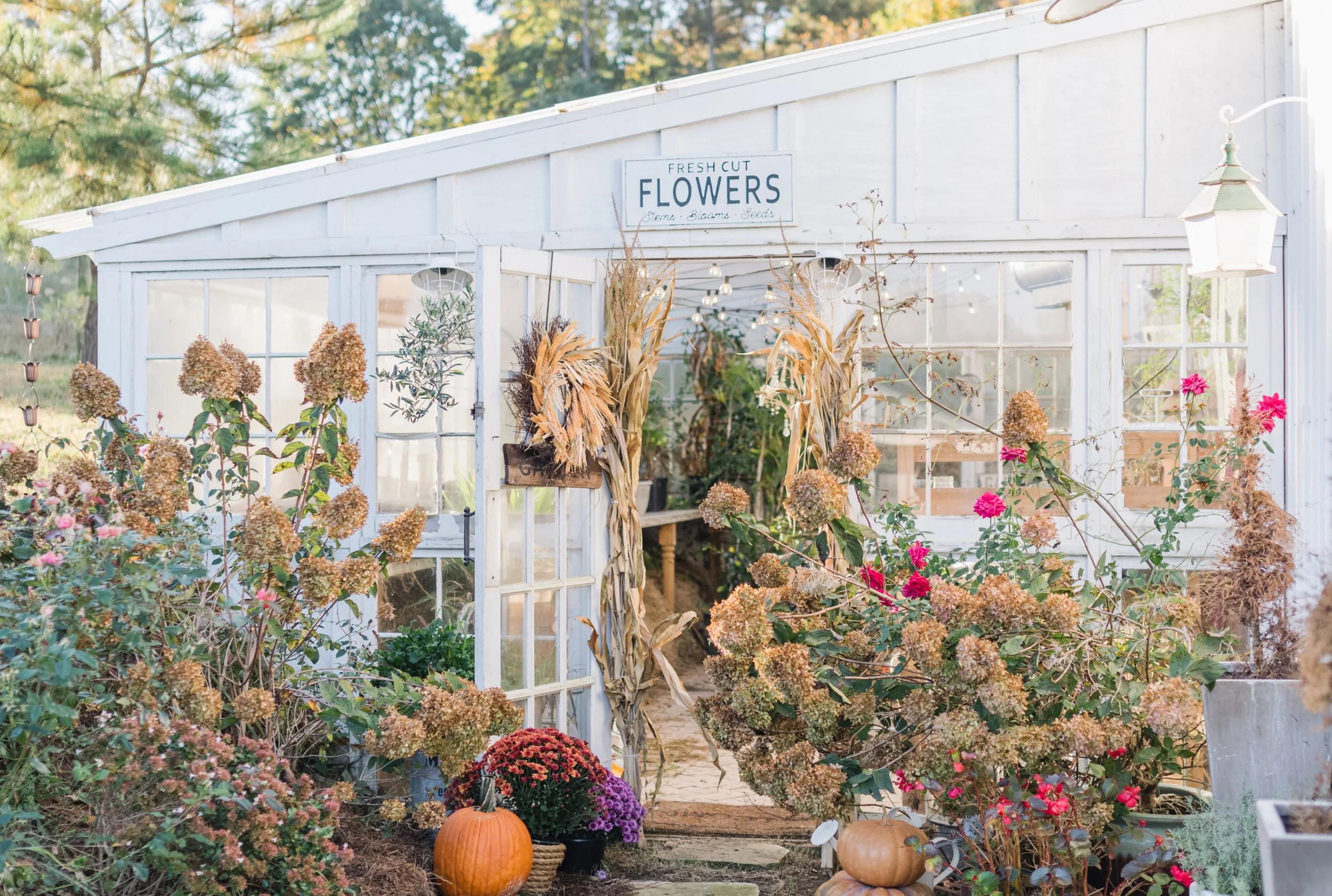 How To Prepare Your Greenhouse For Winter To Extend The Gardening