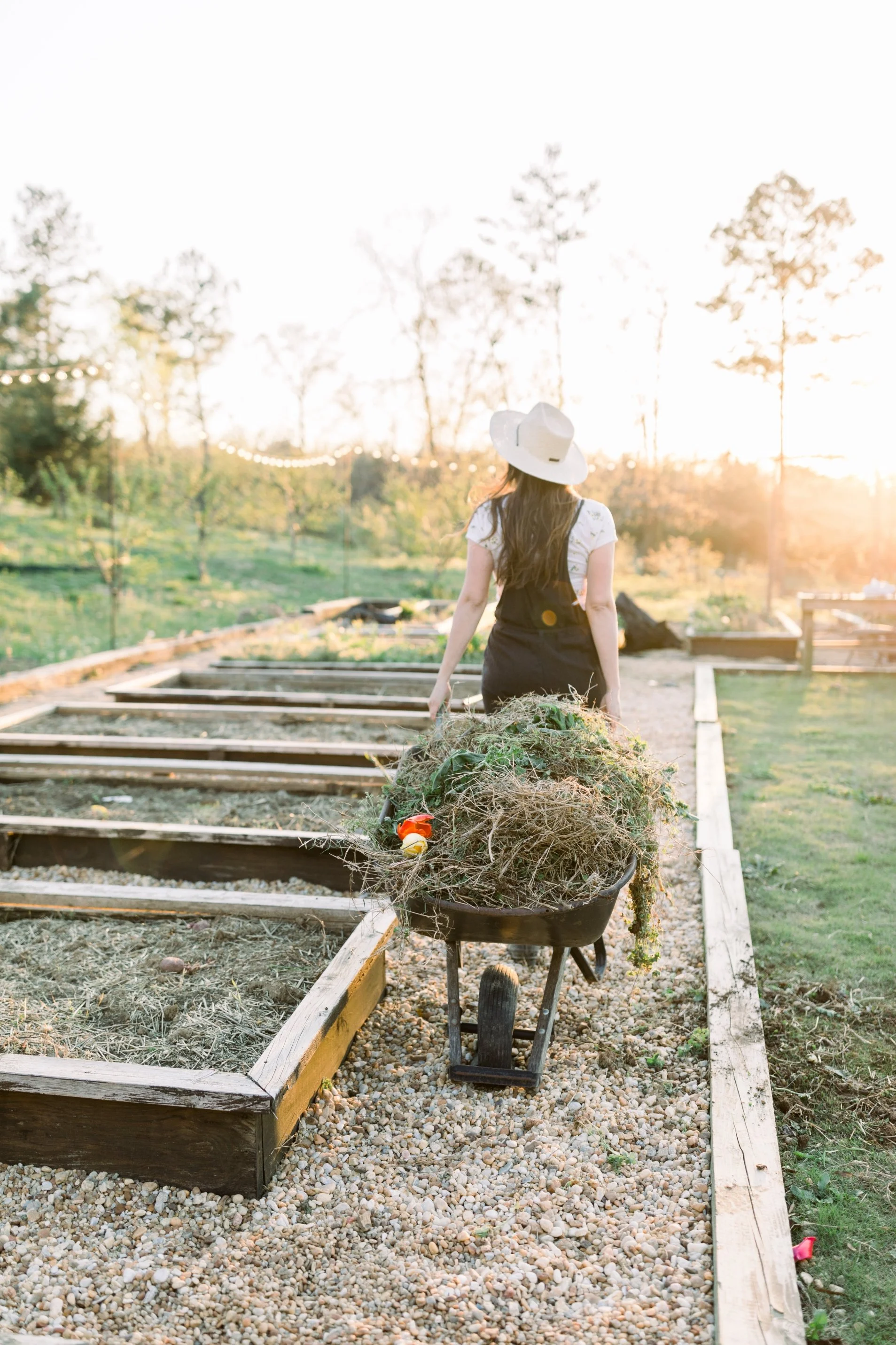 Raised Beds Vs Inground Garden Beds Azure Farm