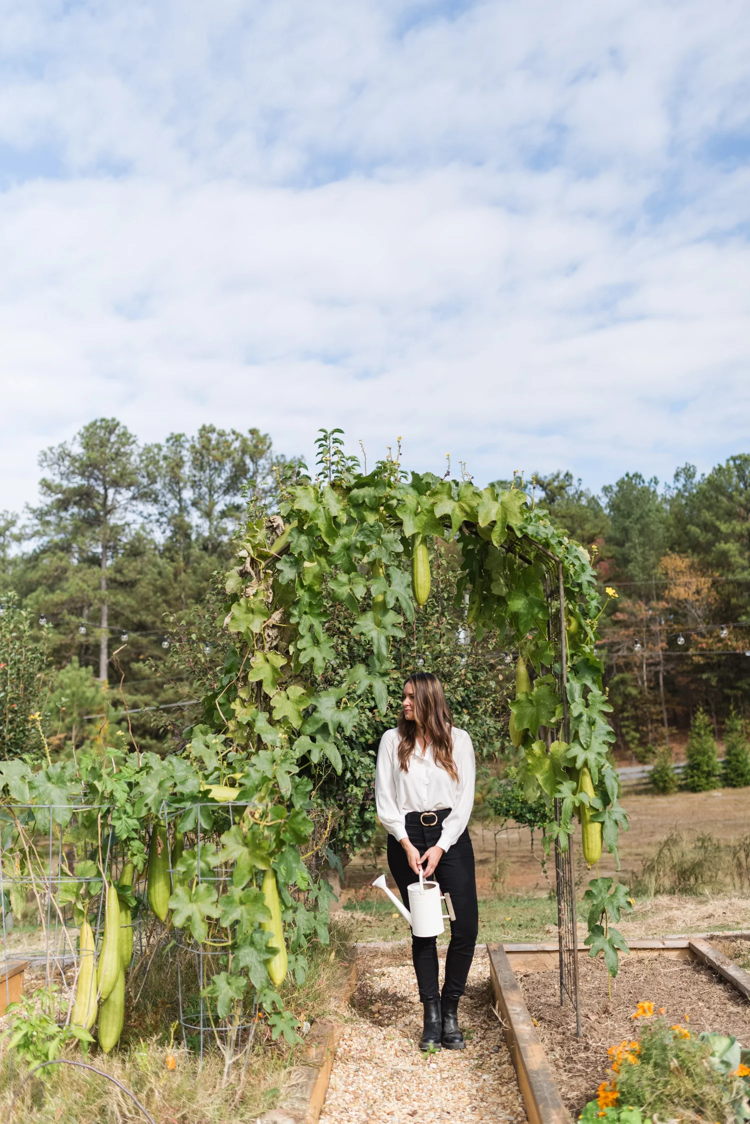 How To Grow and Make Your Own Luffa Sponges