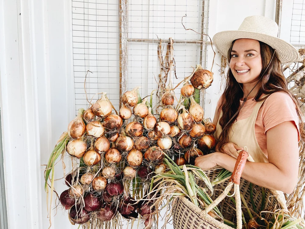How To Cure And Store Onions To Enjoy Them For Months To Come Azure Farm