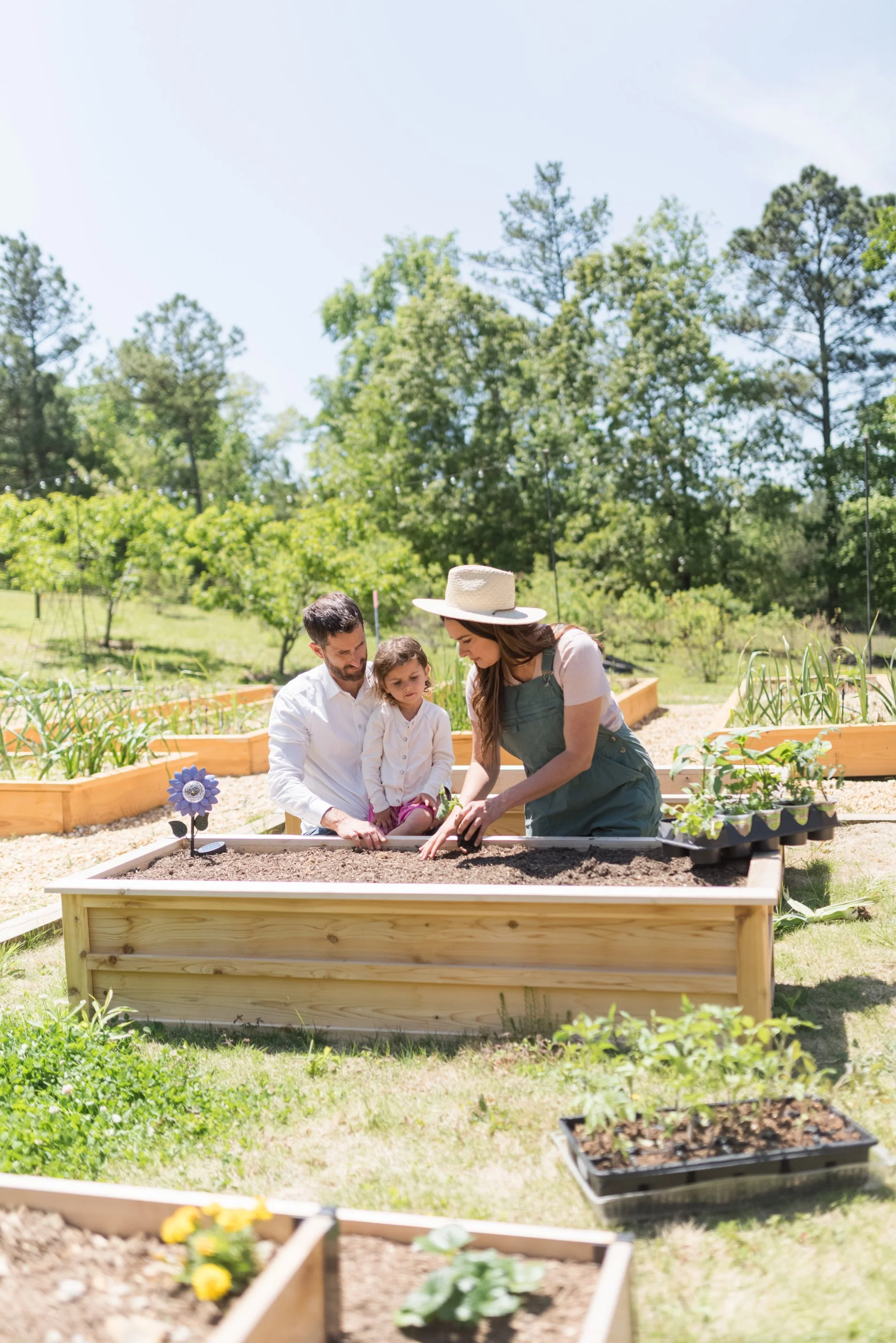 Make The Best Organic Garden Soil For Vegetables - Azure Farm
