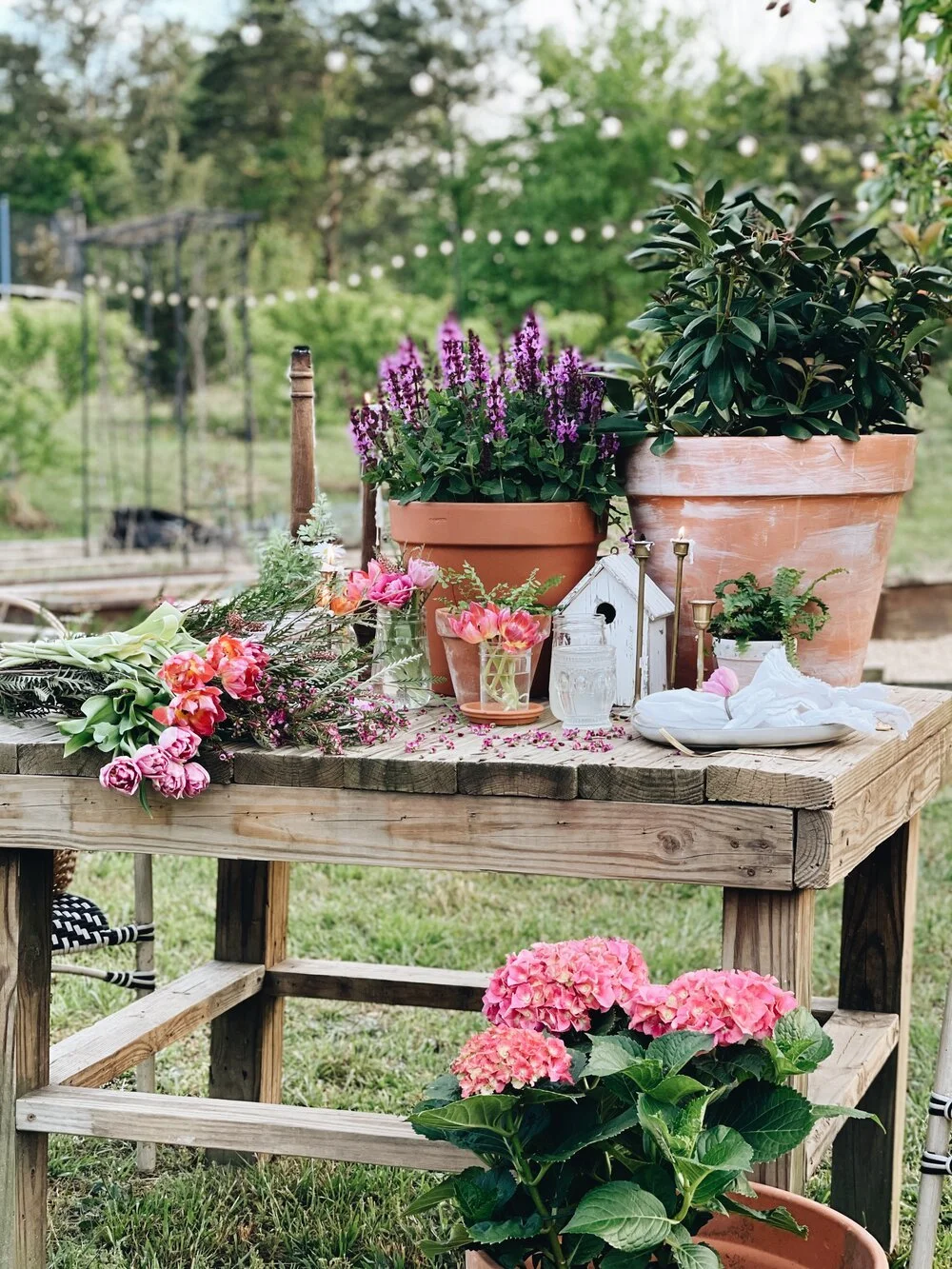 20 Ways To Experience Country Living, No Matter Where You Live - Azure Farm