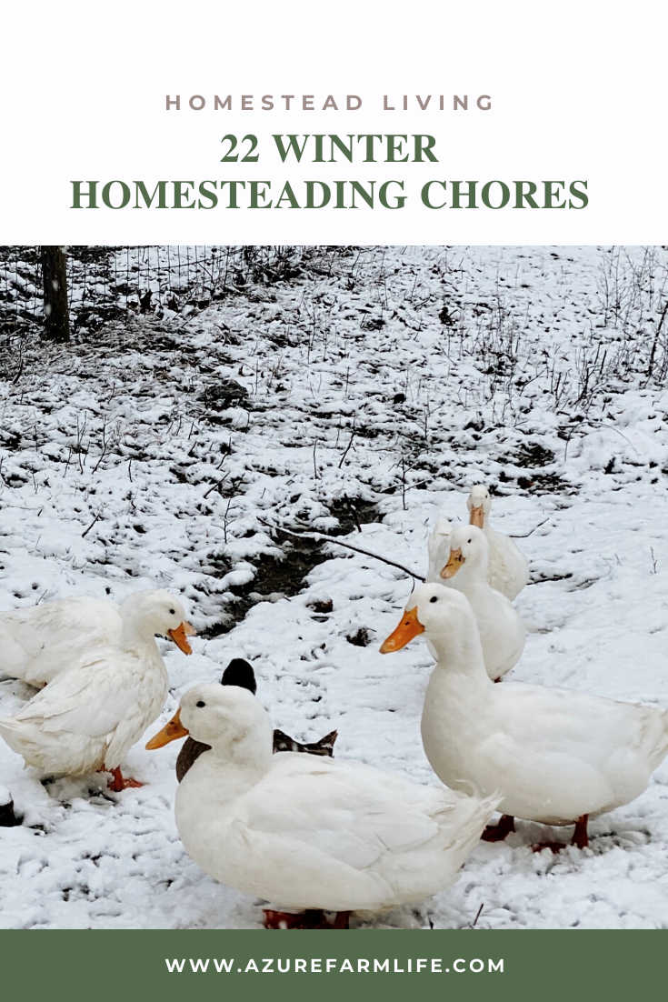 22 winter homesteading chores to keep things running smoothly - Azure Farm