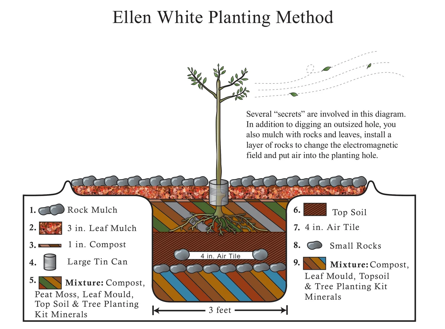 Tips for the Ellen White Tree Planting Method Azure Farm