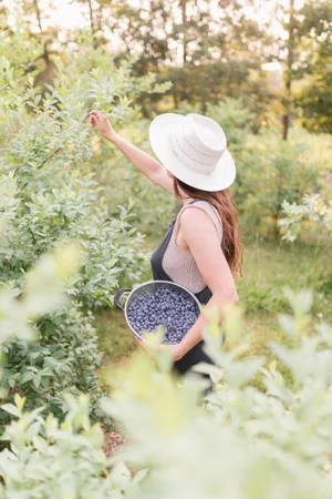 Tips for the Ellen White Tree Planting Method - Azure Farm