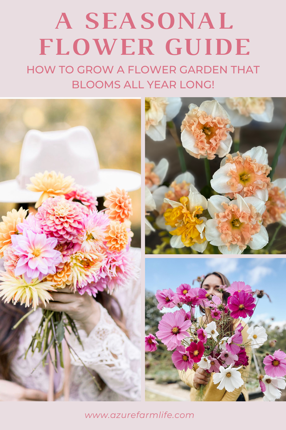 Growing a Year-Round Flower Garden: A Seasonal Flower Guide