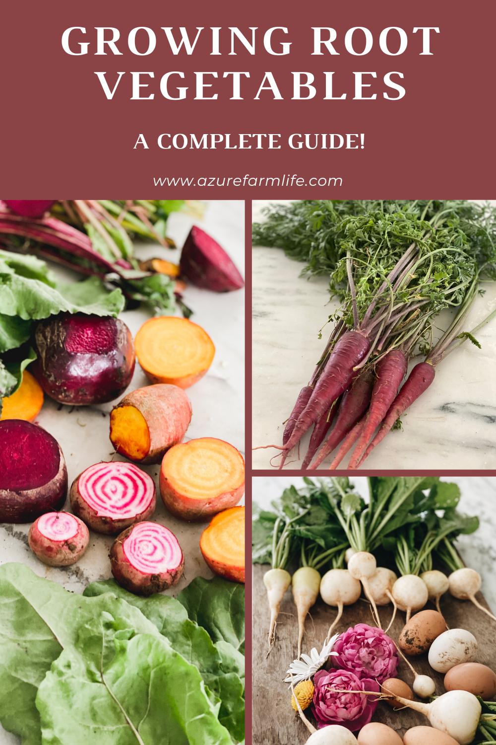 Tips For Growing Root Vegetables Successfully! - Azure Farm