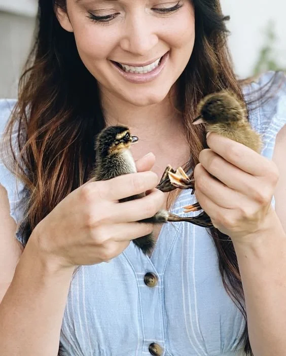 Successful Tips for Raising Ducklings and Chicks Together