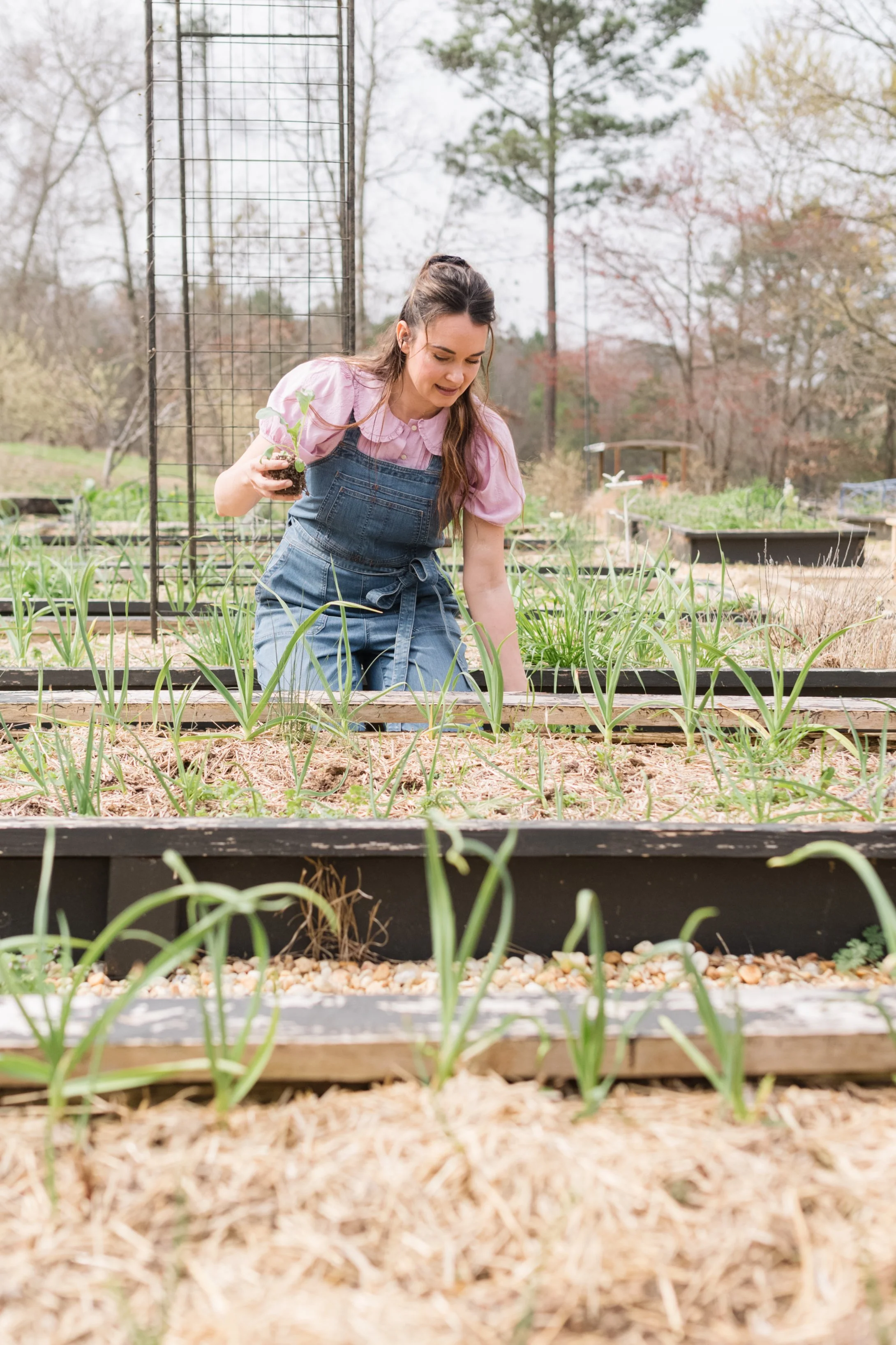 Organic Vegetable Gardens Make The Best Organic Garden Soil For