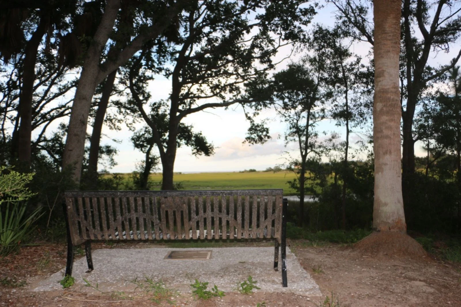 The Bench By the Road, Hilton Head, South Carolina