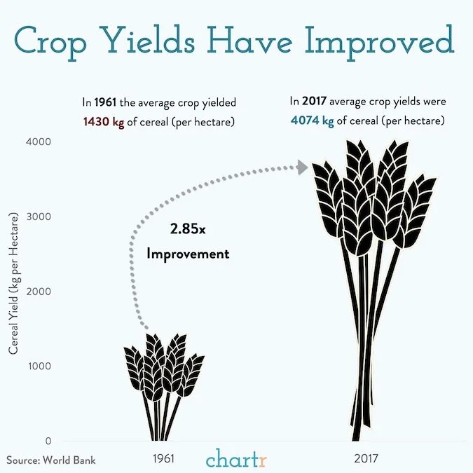 Crops copy.jpg